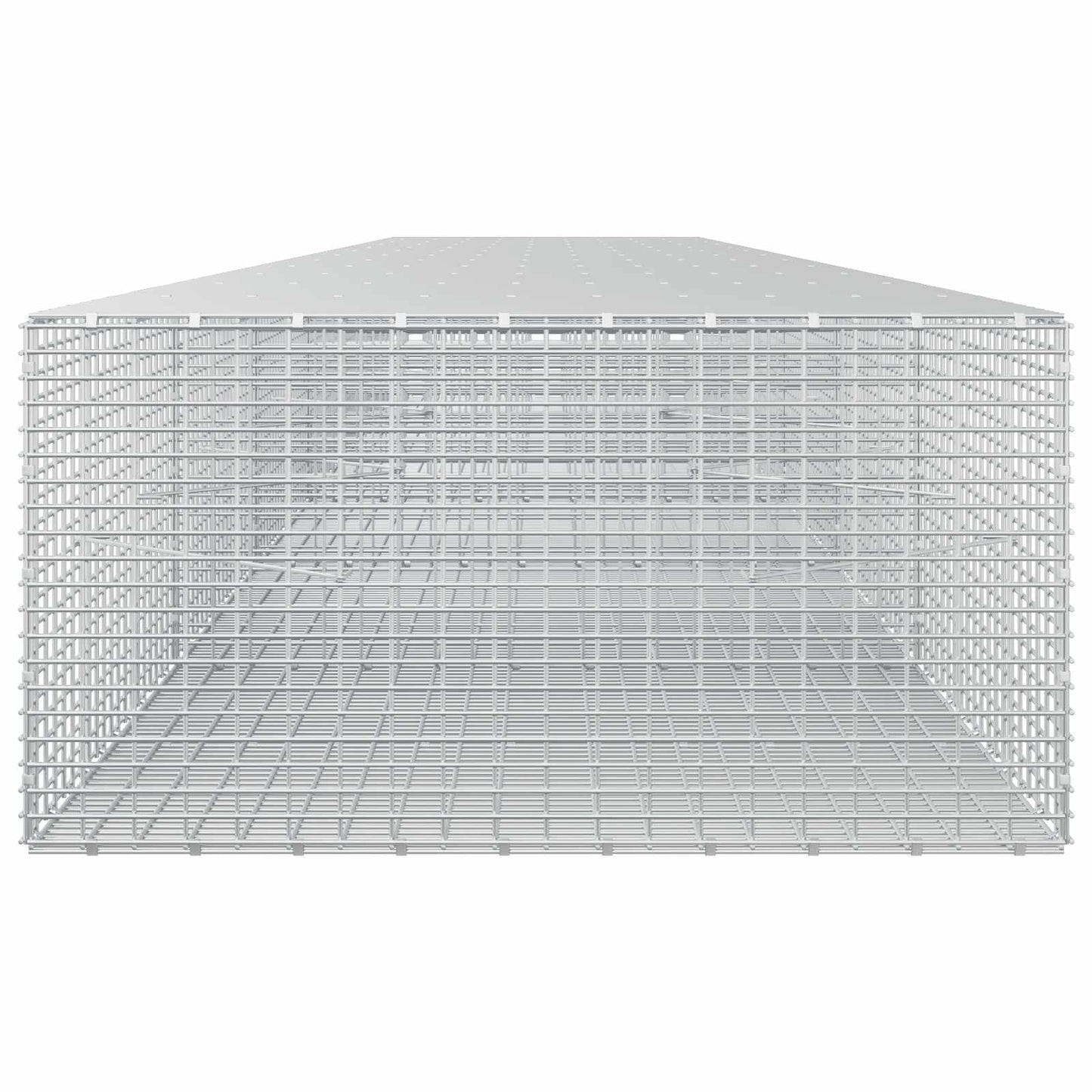 vidaXL Γκαμπιόν με σύρμα 5 mm και πλέγμα 5x2,5 cm 600x100x50 εκ.