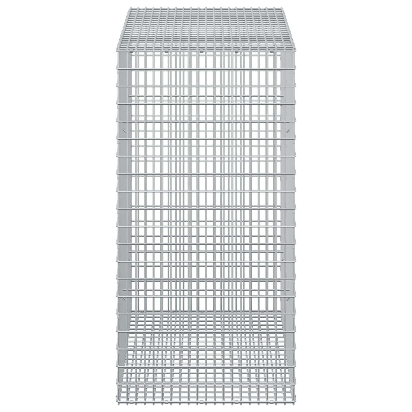vidaXL Γκαμπιόν με σύρμα 5 mm και πλέγμα 5x2,5 cm 50x100x100 εκ