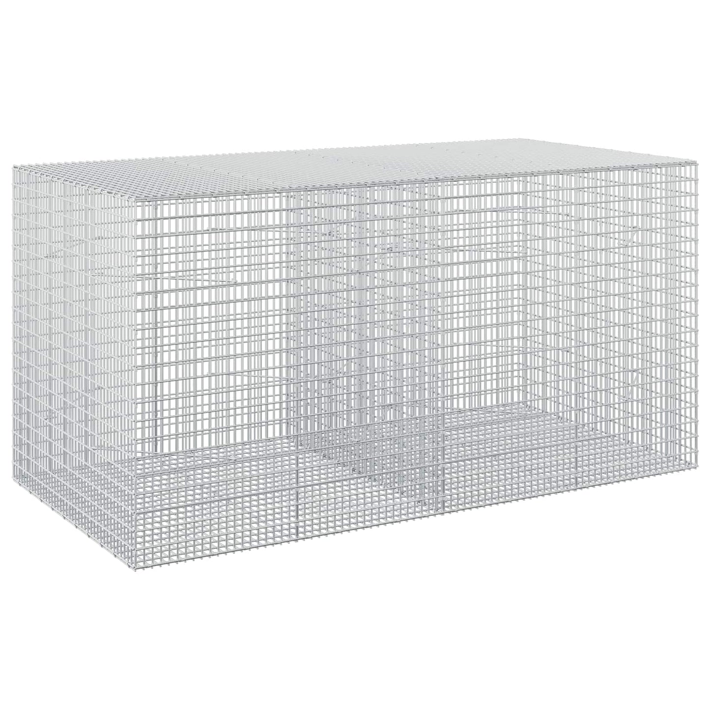 vidaXL Γκαμπιόν με σύρμα 5 mm και πλέγμα 5x2,5 cm 200x100x100 εκ.