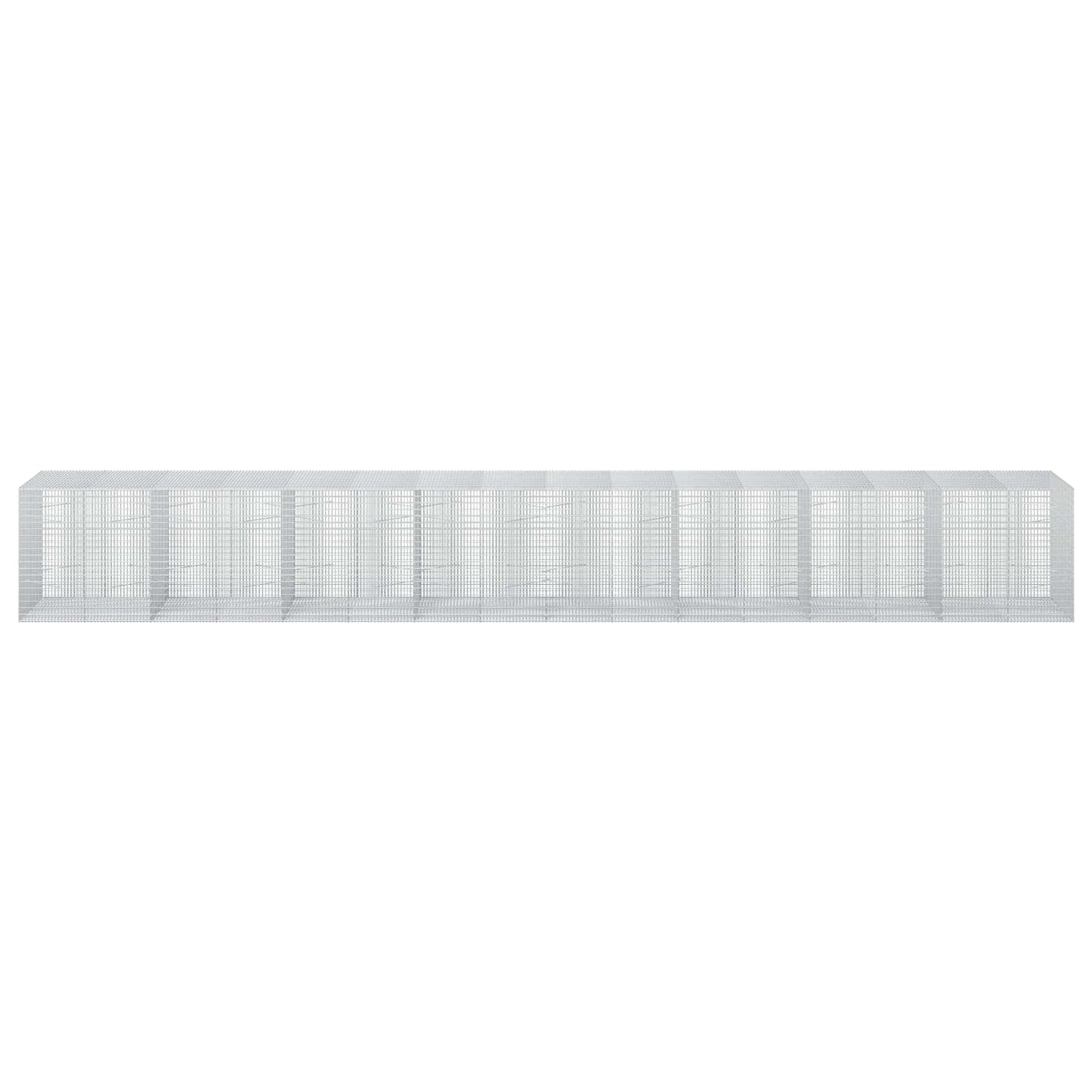 vidaXL Γκαμπιόν με σύρμα 5 mm και πλέγμα 5x2,5 cm 800x100x100 εκ.