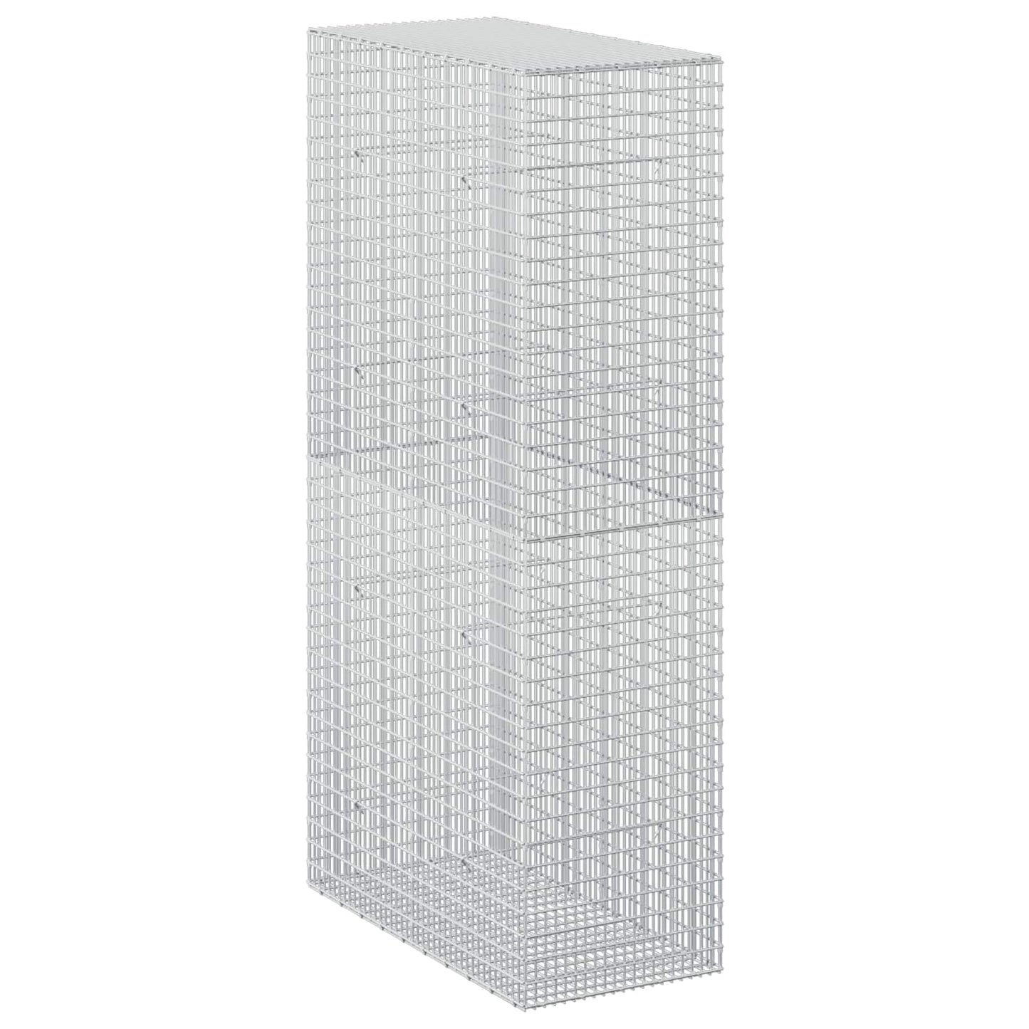 vidaXL Γκαμπιόν με σύρμα 5 mm και πλέγμα 5x2,5 cm 50x100x200 εκ