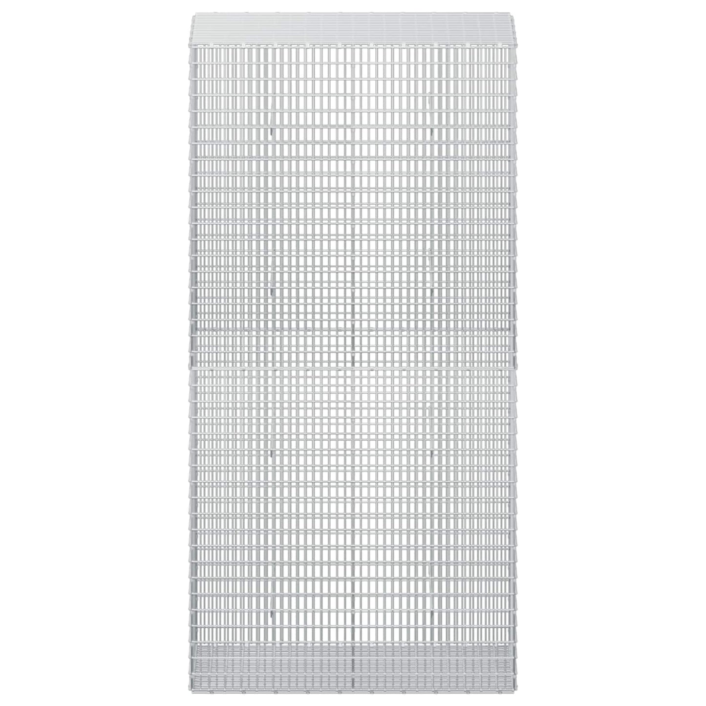 vidaXL Γκαμπιόν με σύρμα 5 mm και πλέγμα 5x2,5 cm 50x100x200 εκ
