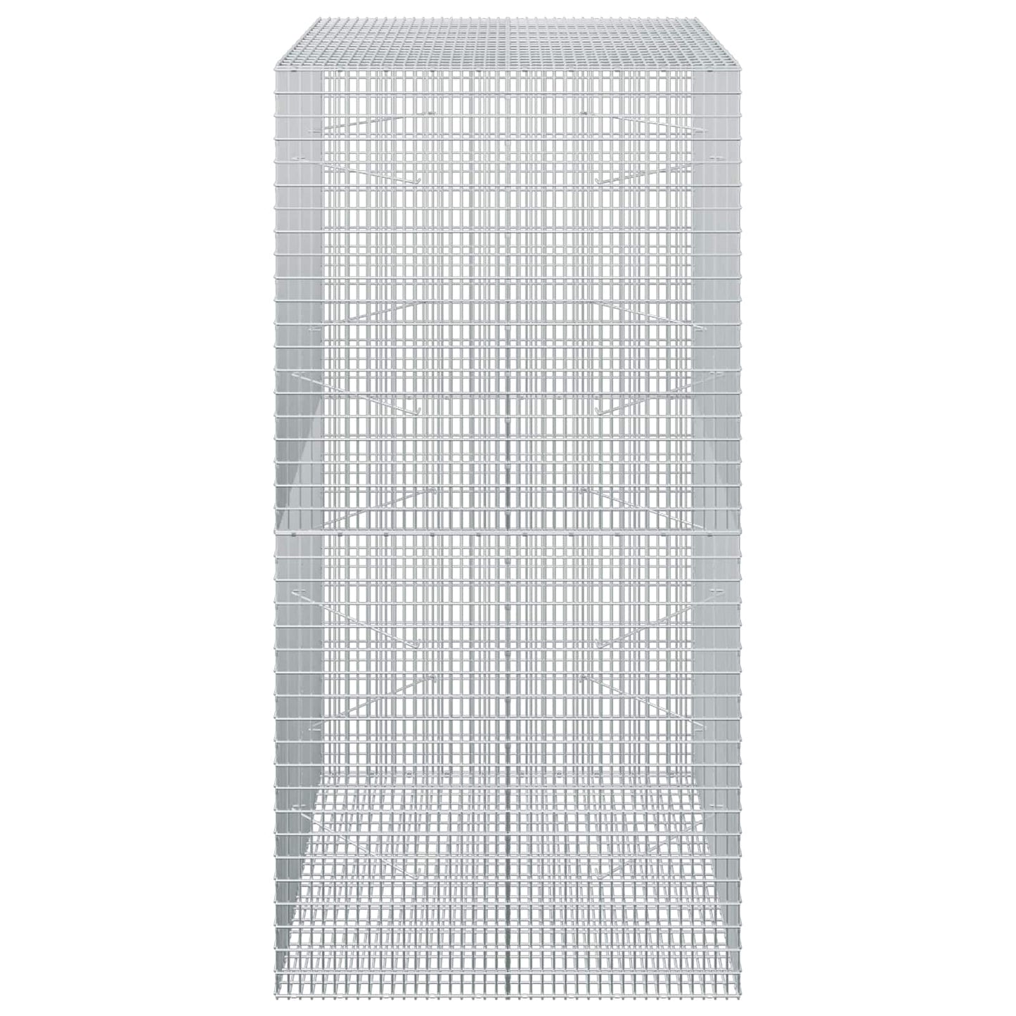 vidaXL Γκαμπιόν με σύρμα 5 mm και πλέγμα 5x2,5 cm 100x100x200 εκ