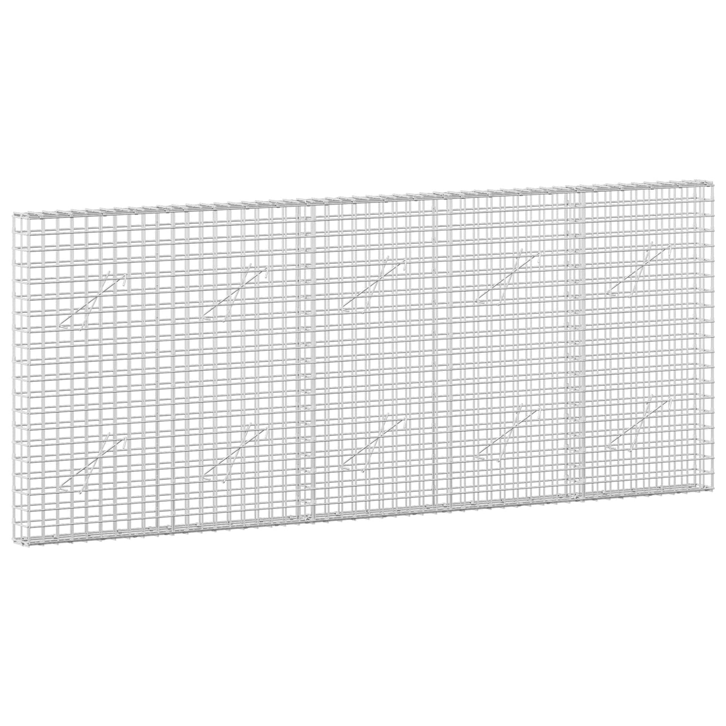 vidaXL Γκαμπιόν με σύρμα 5 mm και πλέγμα 5x5 cm 250x10x100 εκ