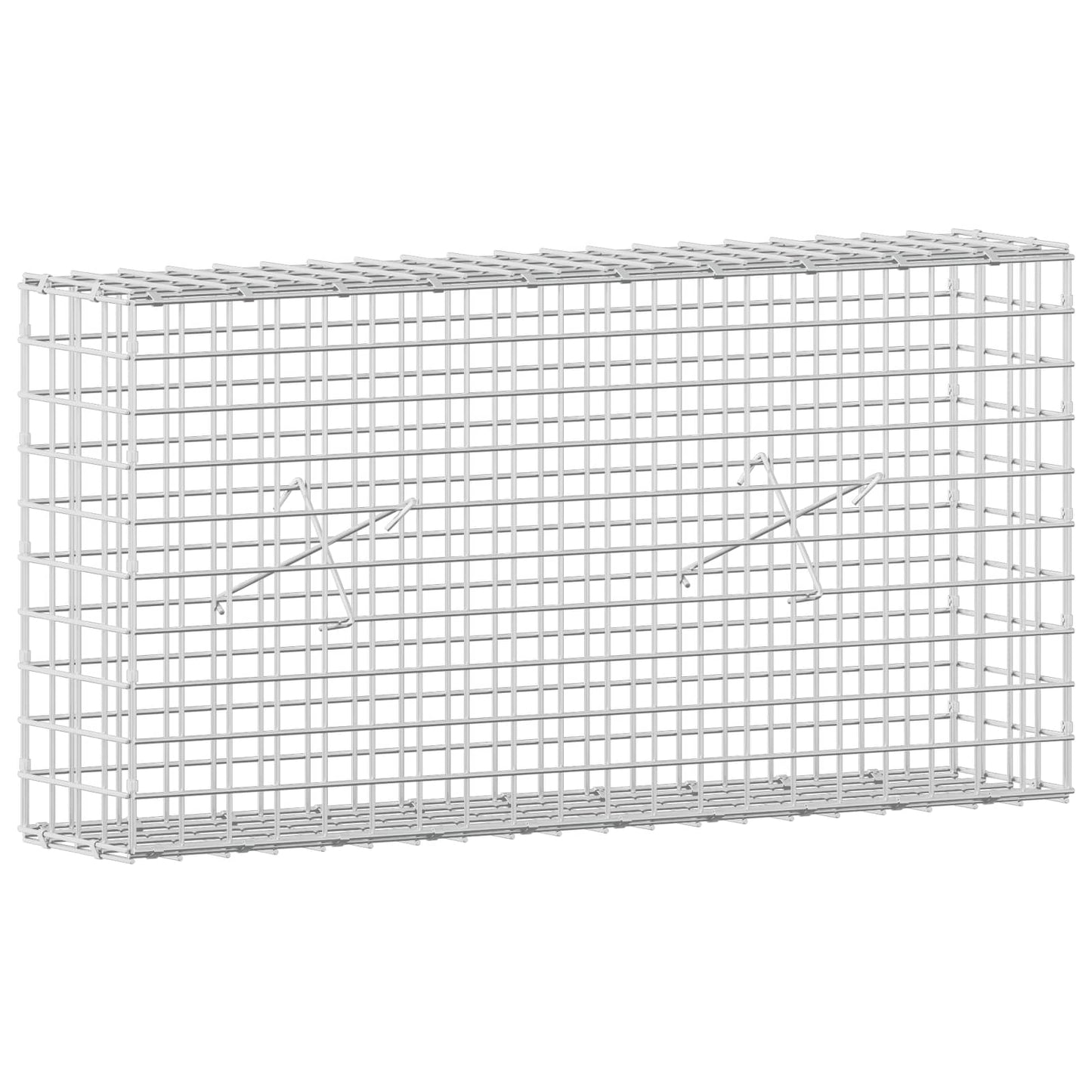 vidaXL Γκαμπιόν με σύρμα 5 mm και πλέγμα 5x5 cm 100x20x50 εκ