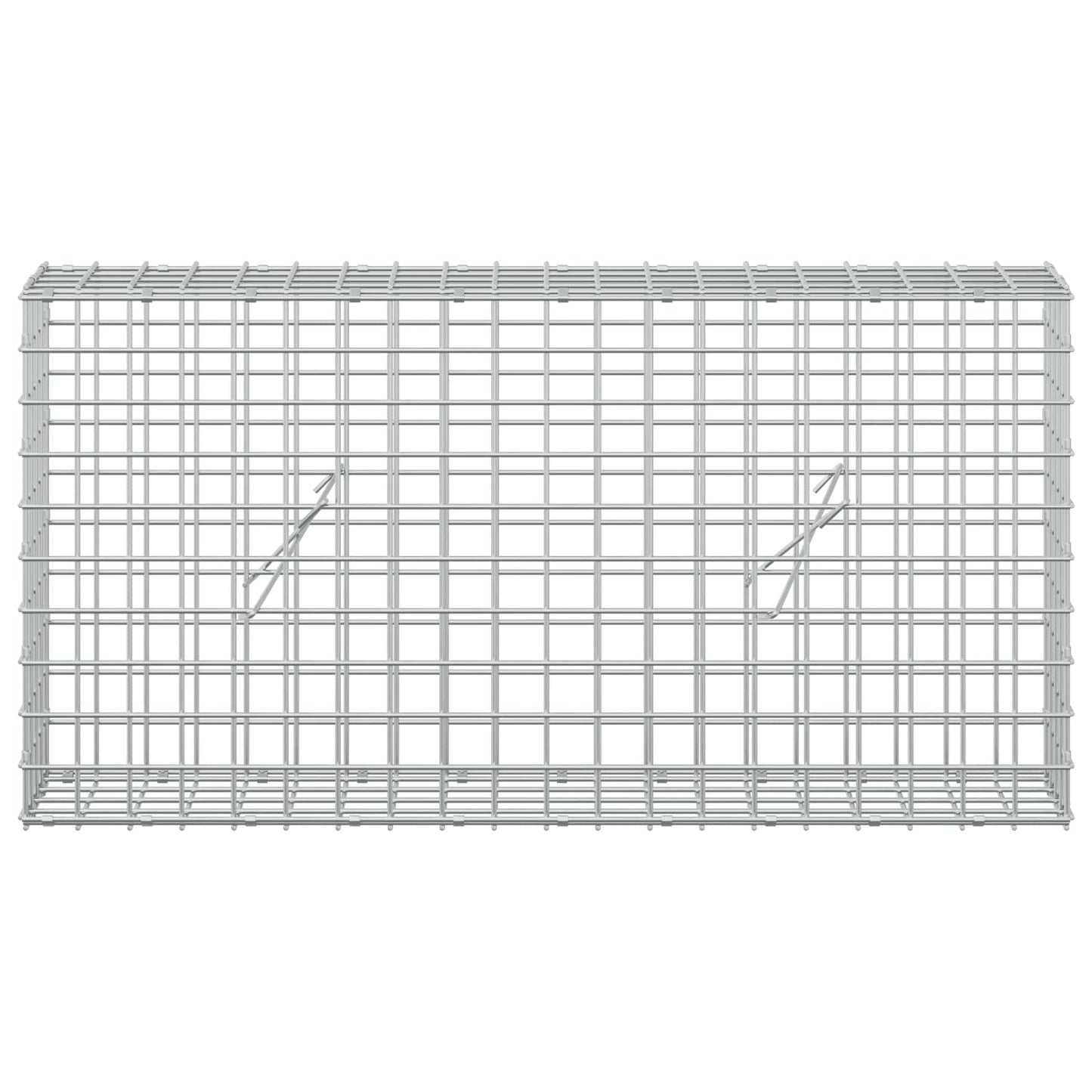 vidaXL Γκαμπιόν με σύρμα 5 mm και πλέγμα 5x5 cm 100x20x50 εκ