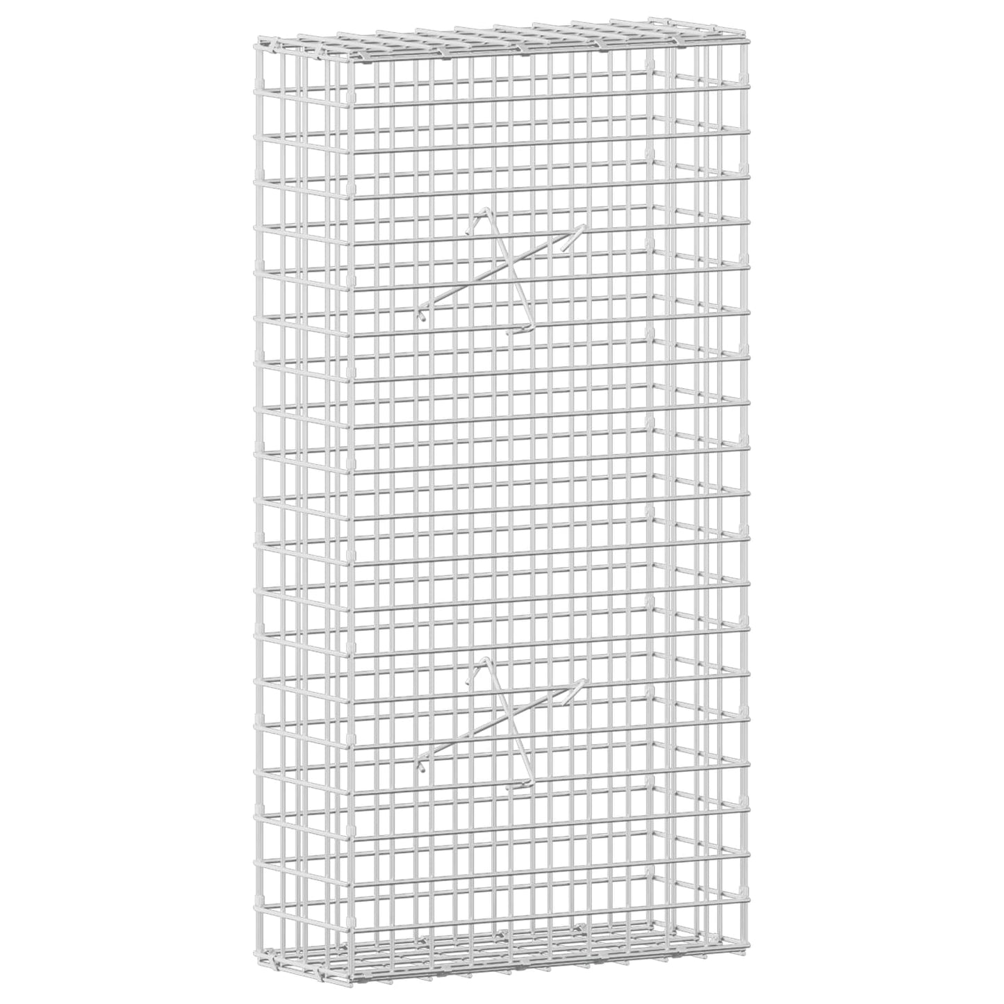 vidaXL Γκαμπιόν με σύρμα 5 mm και πλέγμα 5x5 cm 50x20x100 εκ