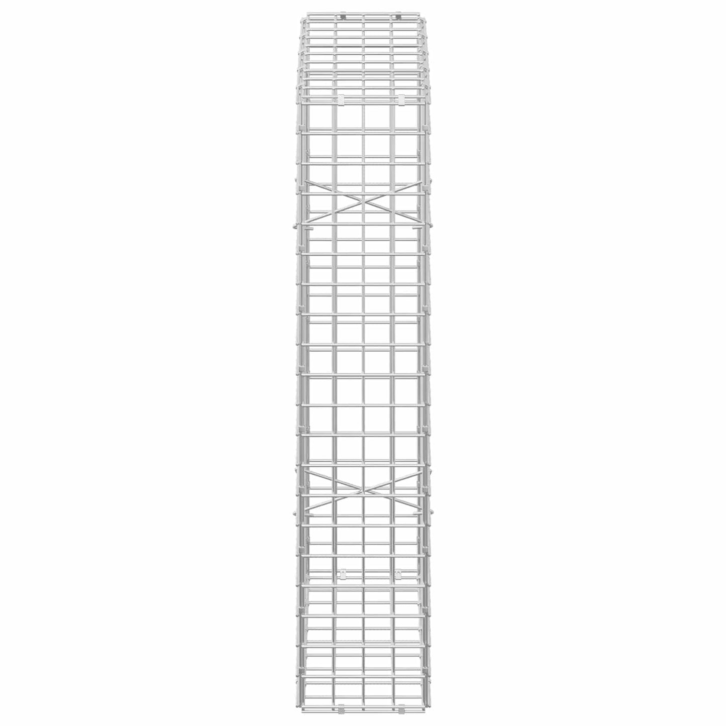 vidaXL Γκαμπιόν με σύρμα 5 mm και πλέγμα 5x5 cm 50x20x100 εκ