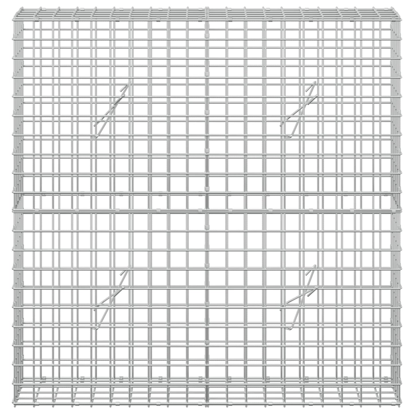 vidaXL Γκαμπιόν με σύρμα 5 mm και πλέγμα 5x5 cm 100x20x100 εκ.
