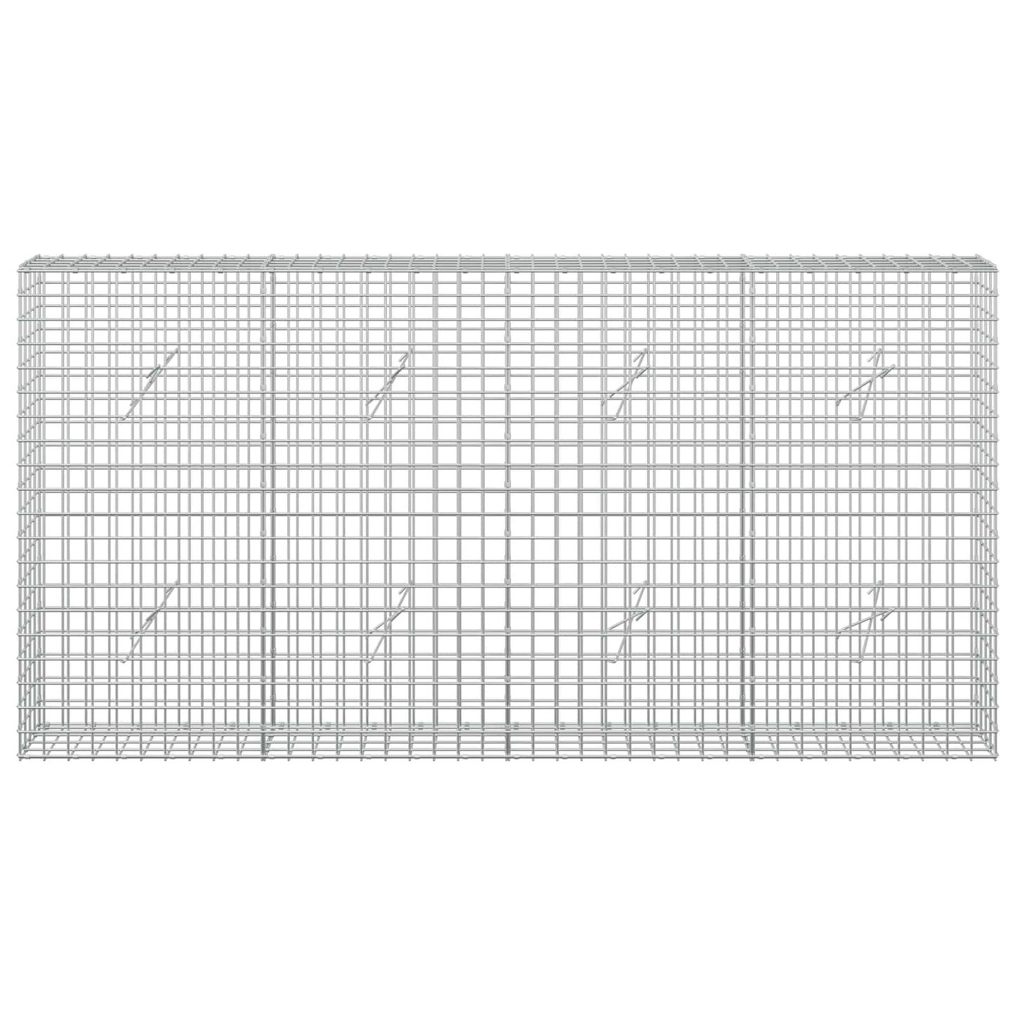 vidaXL Γκαμπιόν με σύρμα 5 mm και πλέγμα 5x5 cm 200x20x100 εκ