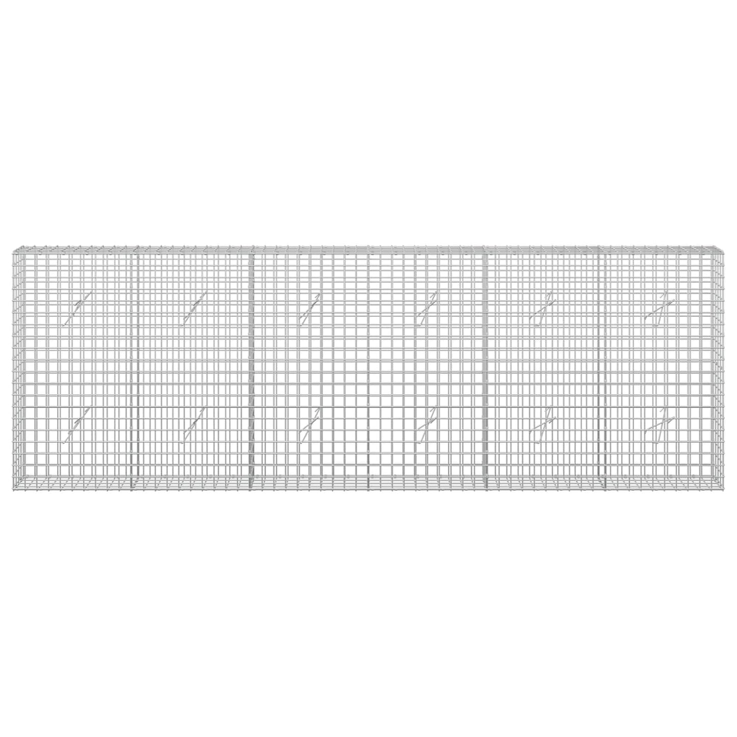 vidaXL Γκαμπιόν με σύρμα 5 mm και πλέγμα 5x5 cm 300x20x100 εκ