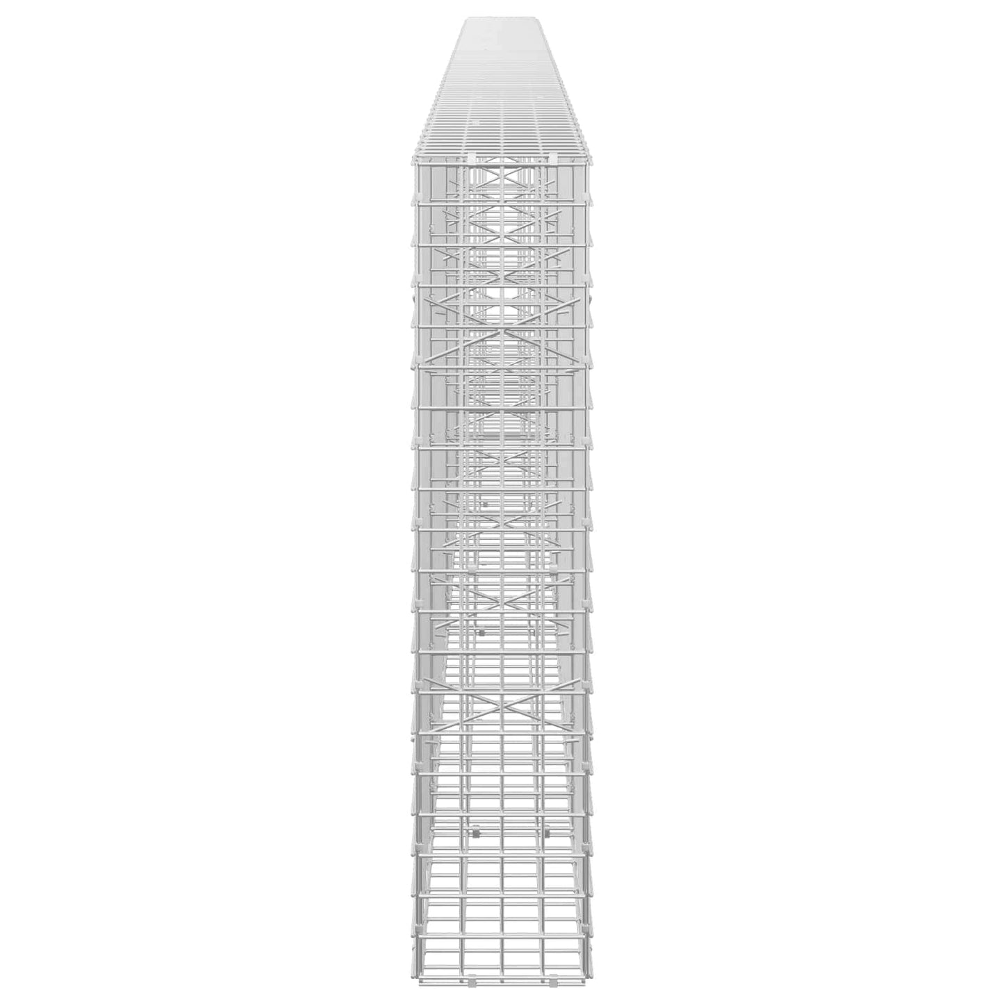 vidaXL Γκαμπιόν με σύρμα 5 mm και πλέγμα 5x5 cm 450x20x100 εκ