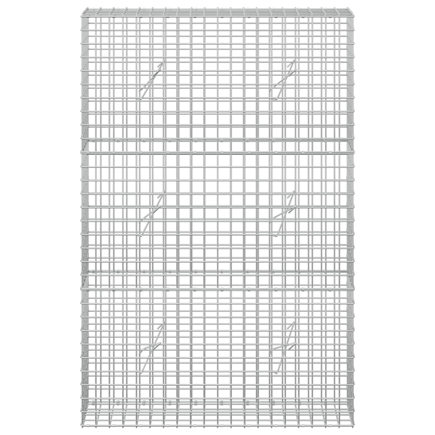 vidaXL Γκαμπιόν με σύρμα 5 mm και πλέγμα 5x5 cm 100x20x150 εκ
