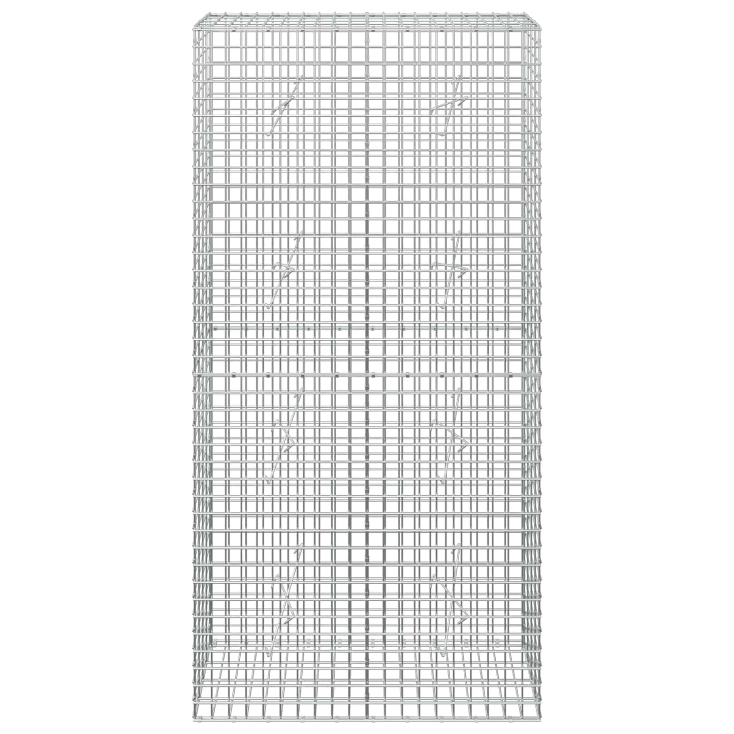 vidaXL Γκαμπιόν με σύρμα 5 mm και πλέγμα 5x5 cm 100x20x200 εκ