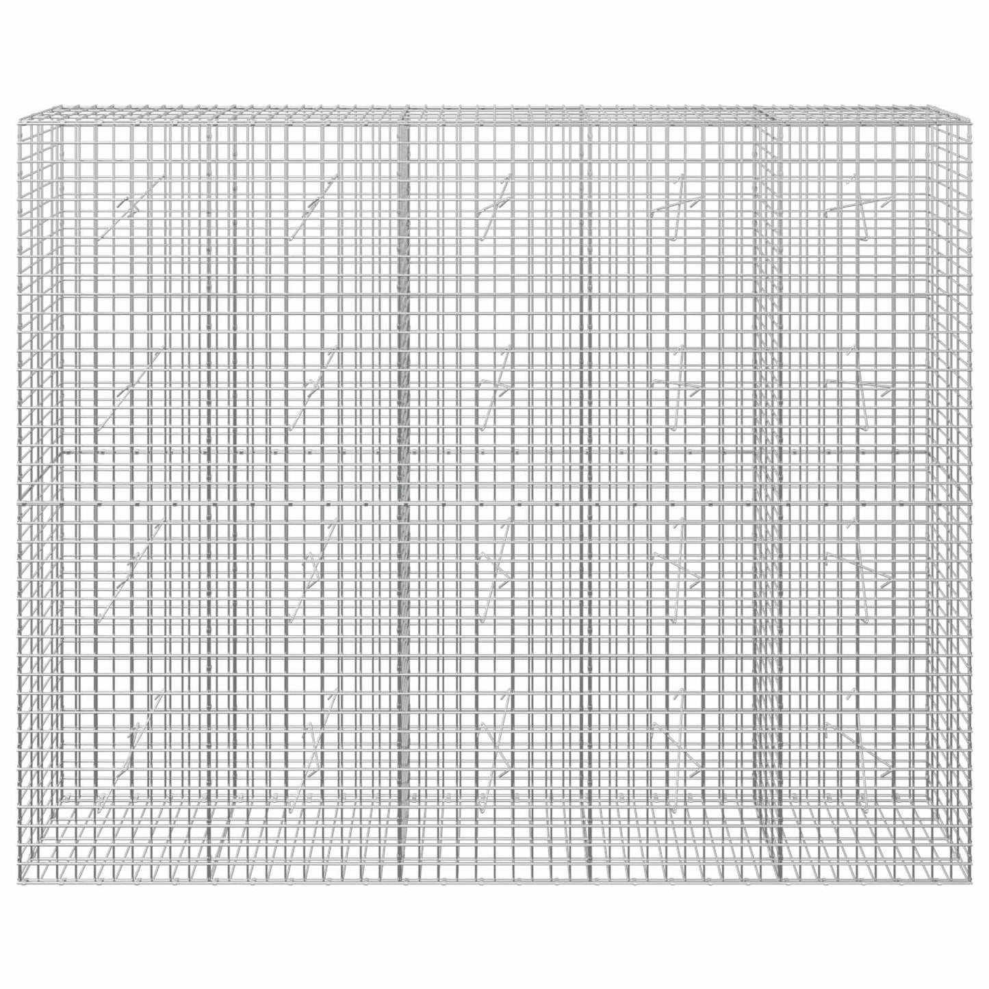 vidaXL Γκαμπιόν με σύρμα 5 mm και πλέγμα 5x5 cm 250x20x200 εκ.