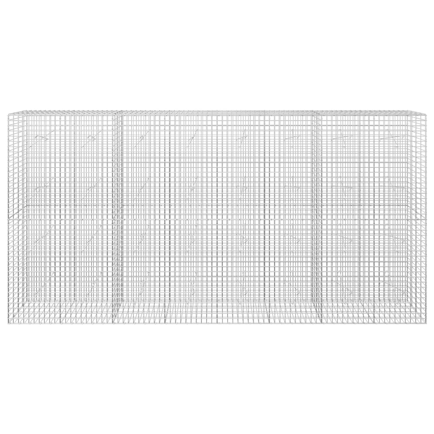 vidaXL Γκαμπιόν με σύρμα 5 mm και πλέγμα 5x5 cm 400x20x200 εκ