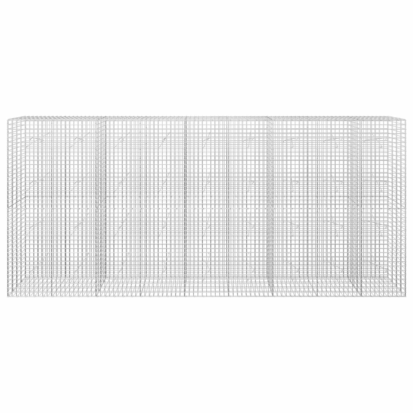 vidaXL Γκαμπιόν με σύρμα 5 mm και πλέγμα 5x5 cm 450x20x200 εκ