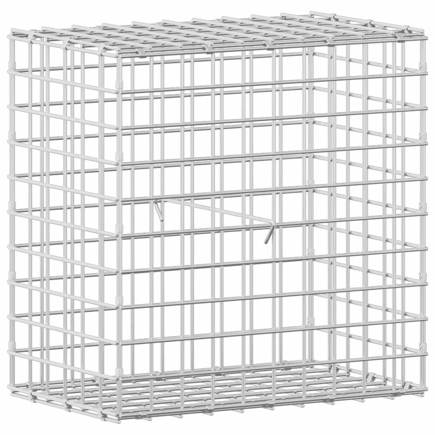 vidaXL Γκαμπιόν με σύρμα 5 mm και πλέγμα 5x5 cm 50x30x50 εκ.
