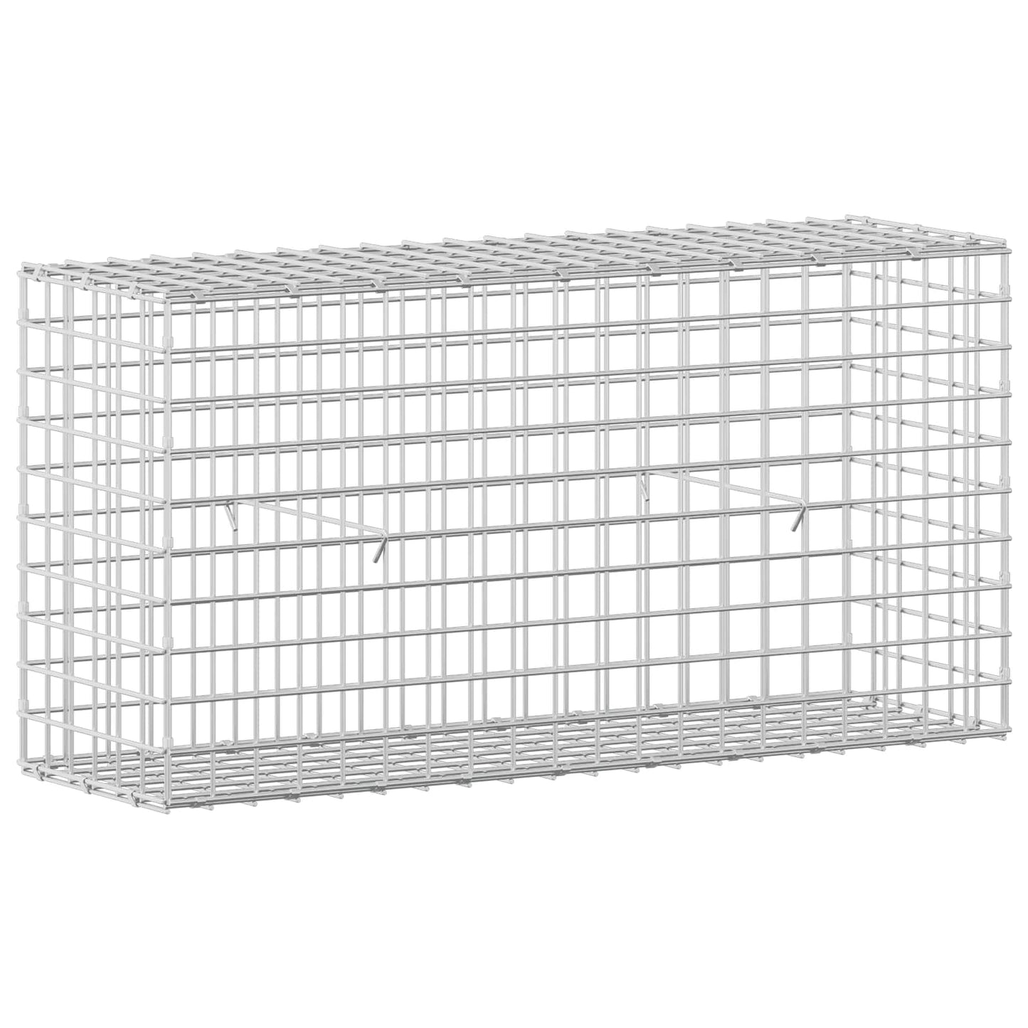 vidaXL Γκαμπιόν με σύρμα 5 mm και πλέγμα 5x5 cm 100x30x50 εκ