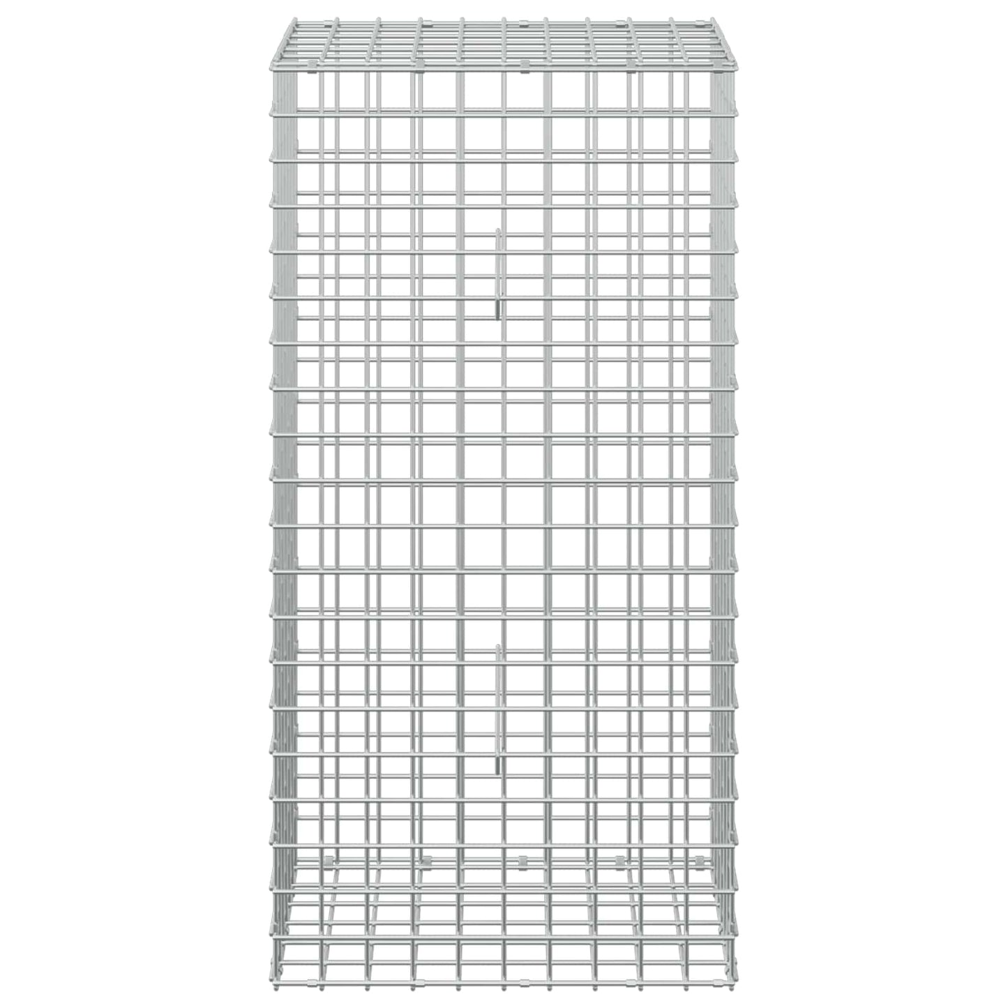 vidaXL Γκαμπιόν με σύρμα 5 mm και πλέγμα 5x5 cm 50x30x100 εκ