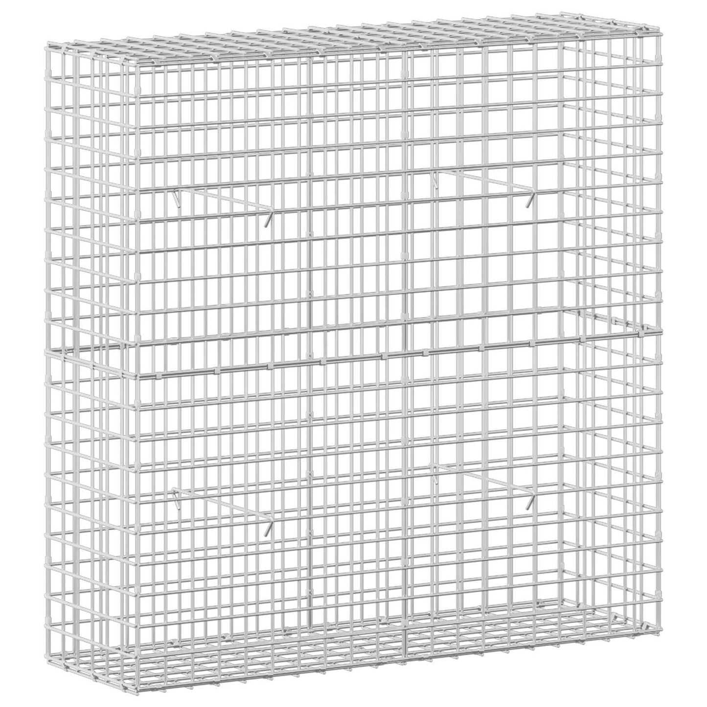 vidaXL Γκαμπιόν με σύρμα 5 mm και πλέγμα 5x5 cm 100x30x100 εκ