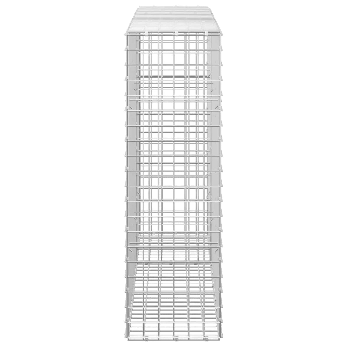vidaXL Γκαμπιόν με σύρμα 5 mm και πλέγμα 5x5 cm 150x30x100 εκ