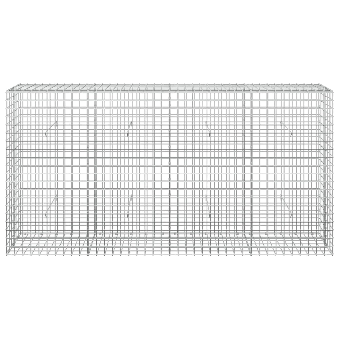 vidaXL Γκαμπιόν με σύρμα 5 mm και πλέγμα 5x5 cm 200x30x100 εκ