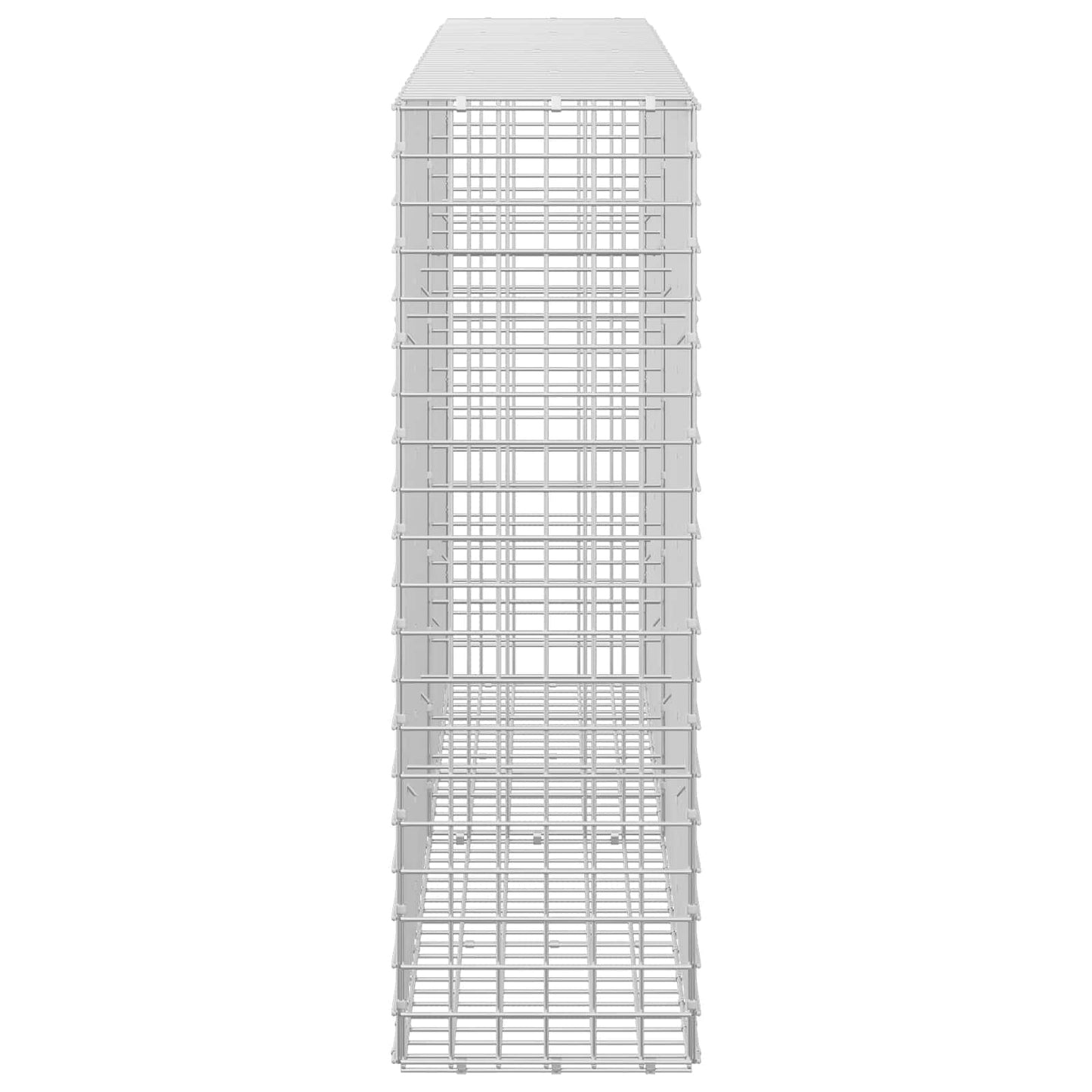 vidaXL Γκαμπιόν με σύρμα 5 mm και πλέγμα 5x5 cm 200x30x100 εκ