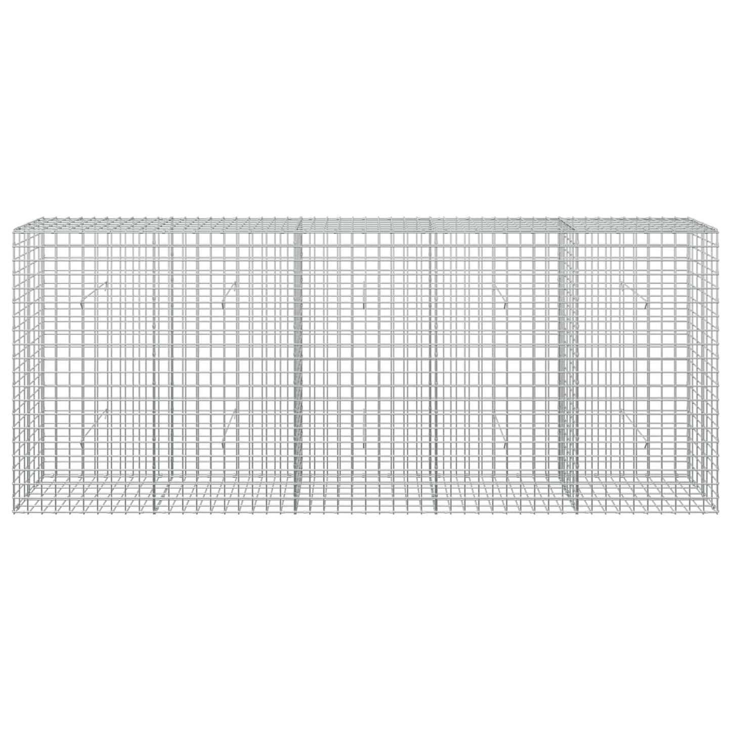 vidaXL Γκαμπιόν με σύρμα 5 mm και πλέγμα 5x5 cm 250x30x100 εκ