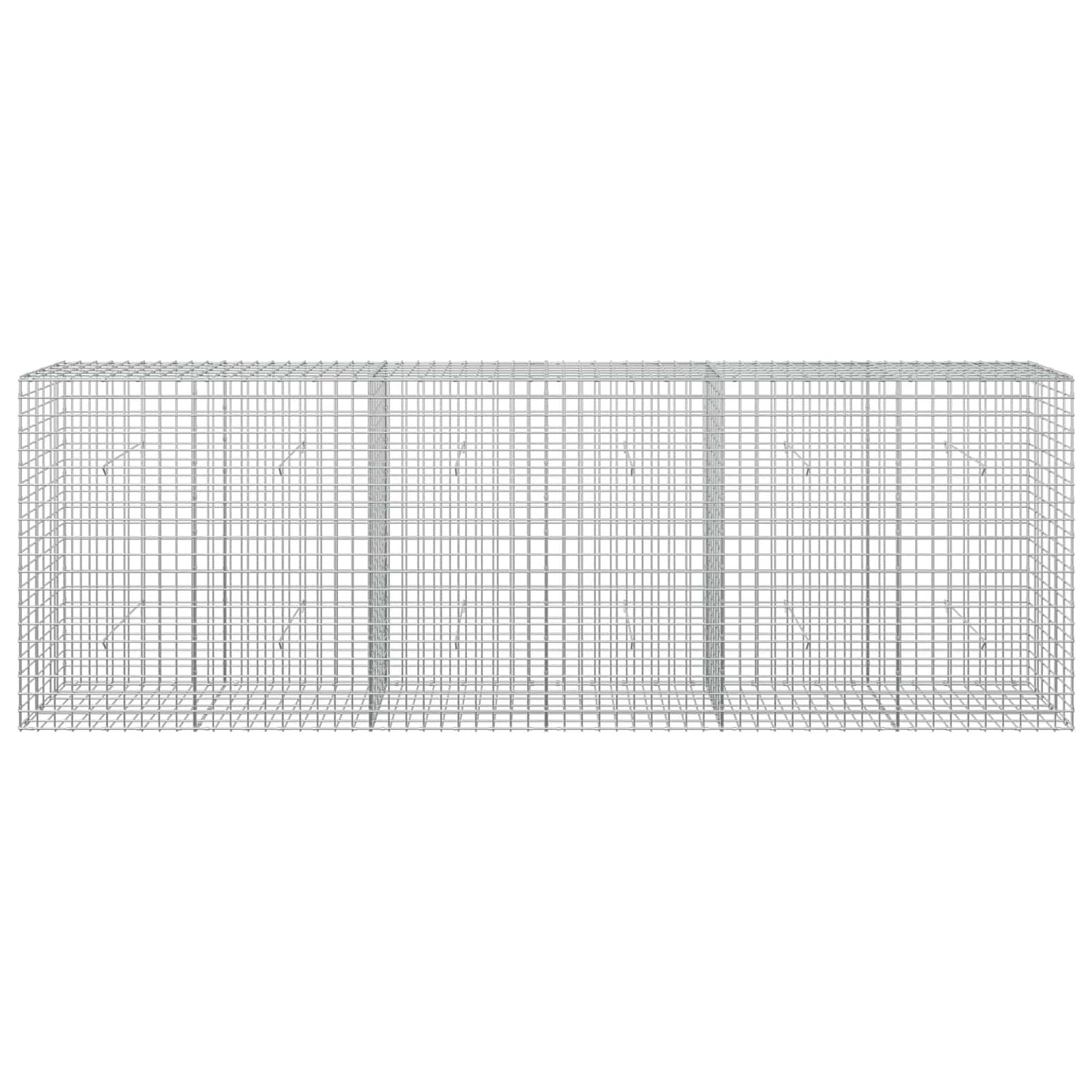 vidaXL Γκαμπιόν με σύρμα 5 mm και πλέγμα 5x5 cm 300x30x100 εκ