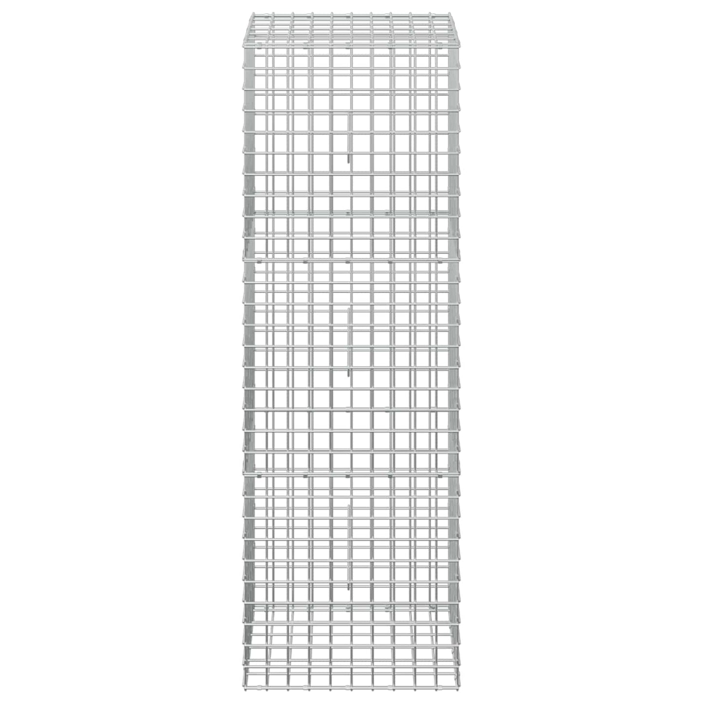vidaXL Γκαμπιόν με σύρμα 5 mm και πλέγμα 5x5 cm 50x30x150 εκ