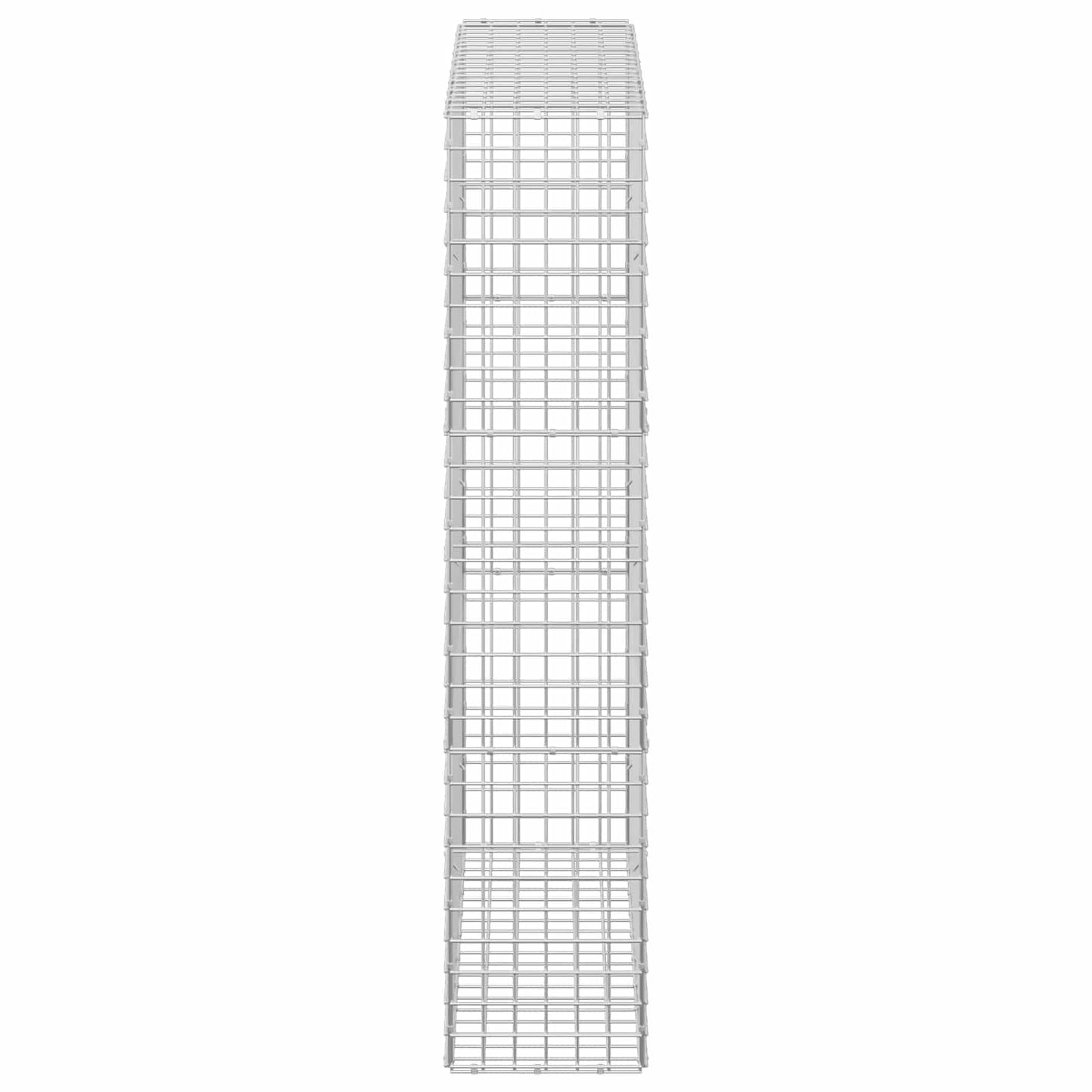 vidaXL Γκαμπιόν με σύρμα 5 mm και πλέγμα 5x5 cm 100x30x150 εκ