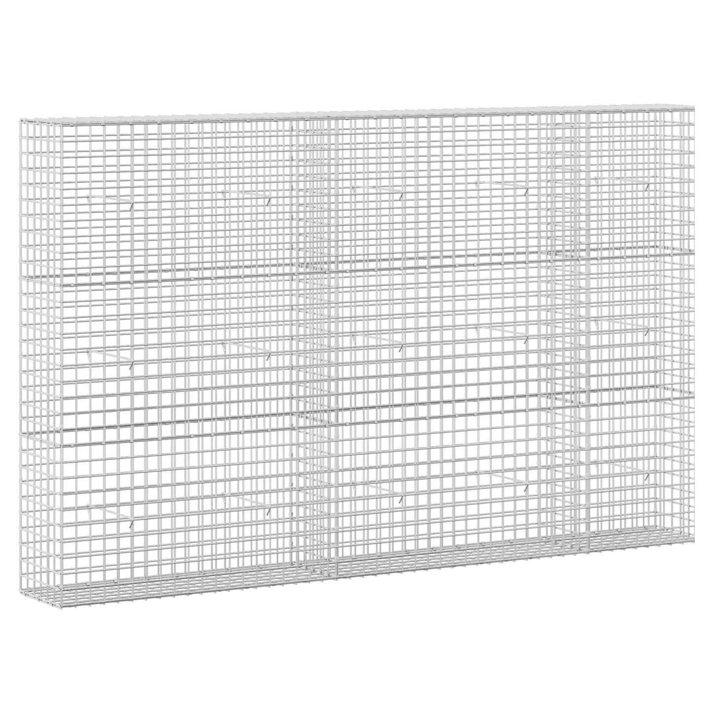 vidaXL Γκαμπιόν με σύρμα 5 mm και πλέγμα 5x5 cm 250x30x150 εκ