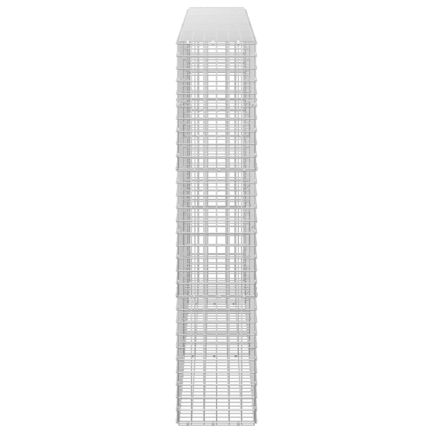 vidaXL Γκαμπιόν με σύρμα 5 mm και πλέγμα 5x5 cm 250x30x150 εκ