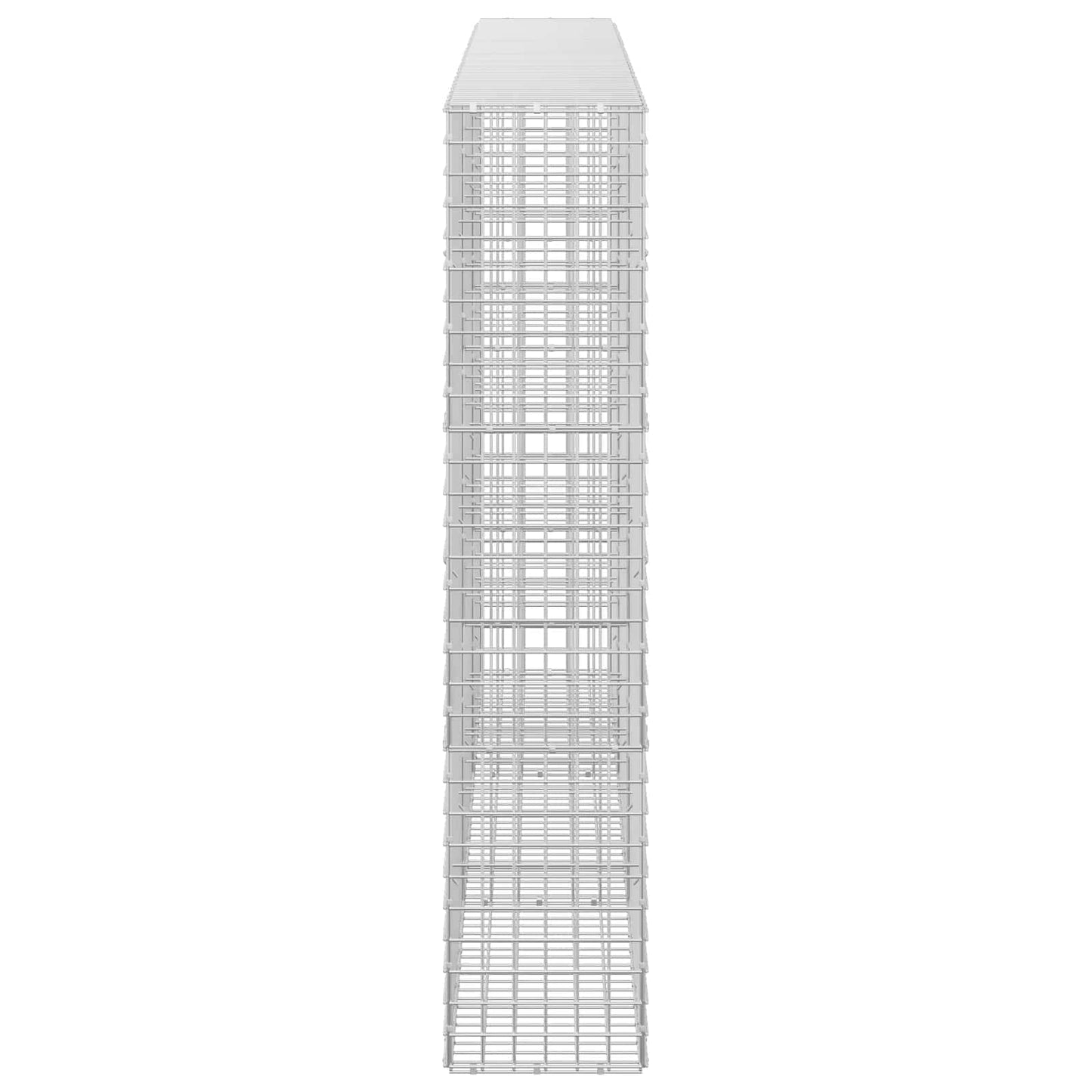 vidaXL Γκαμπιόν με σύρμα 5 mm και πλέγμα 5x5 cm 300x30x150 εκ