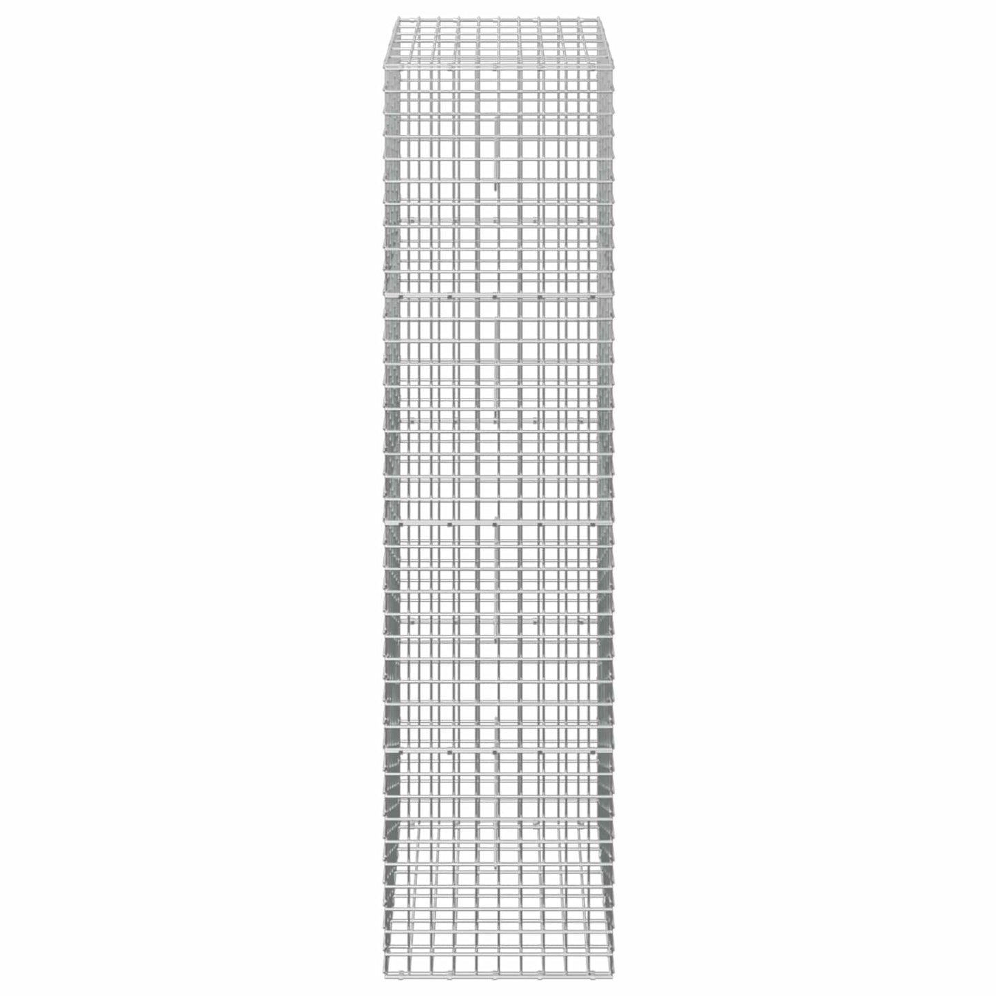 vidaXL Γκαμπιόν με σύρμα 5 mm και πλέγμα 5x5 cm 50x30x200 εκ