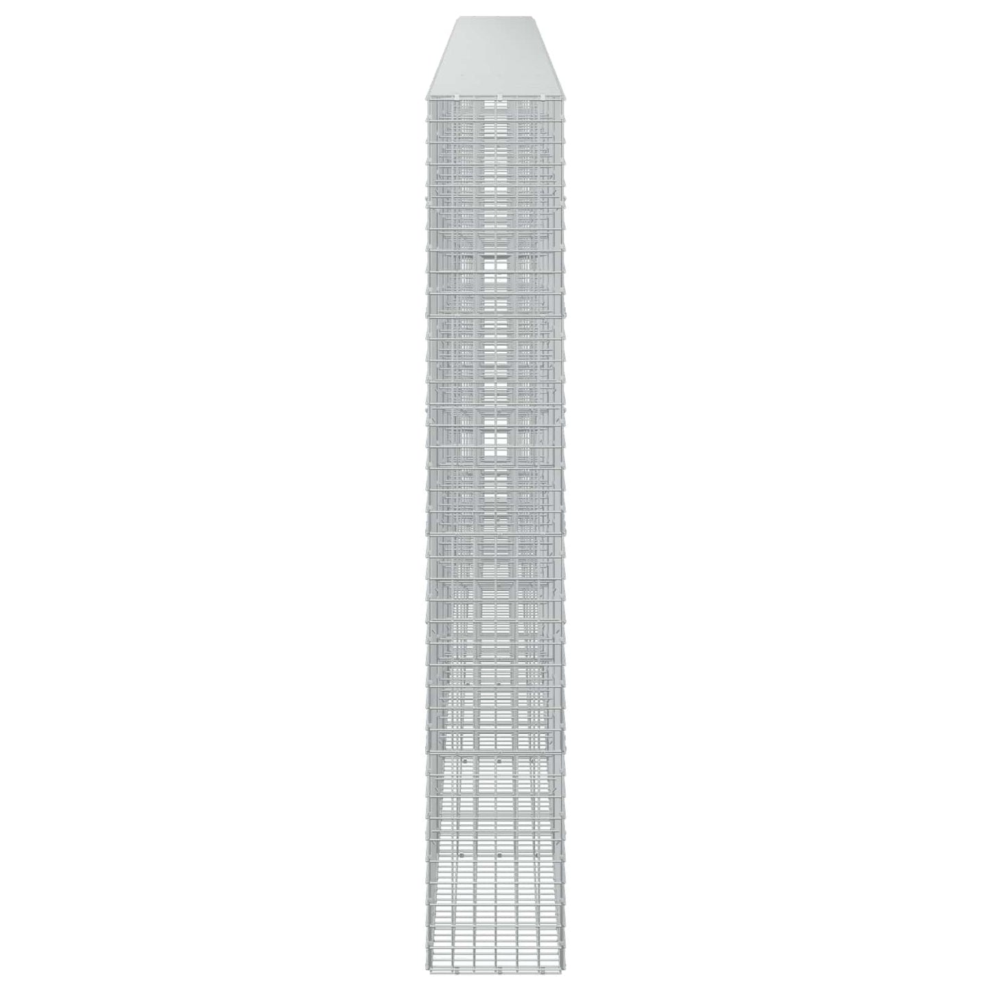 vidaXL Γκαμπιόν με σύρμα 5 mm και πλέγμα 5x5 cm 650x30x200 εκ