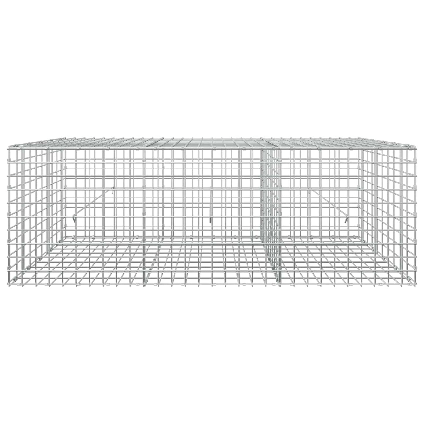 vidaXL Γκαμπιόν με σύρμα 5 mm και πλέγμα 5x5 cm 150x50x50 εκ.