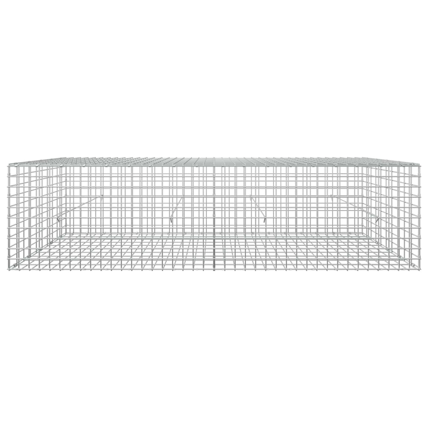 vidaXL Γκαμπιόν με σύρμα 5 mm και πλέγμα 5x5 cm 200x50x50 εκ