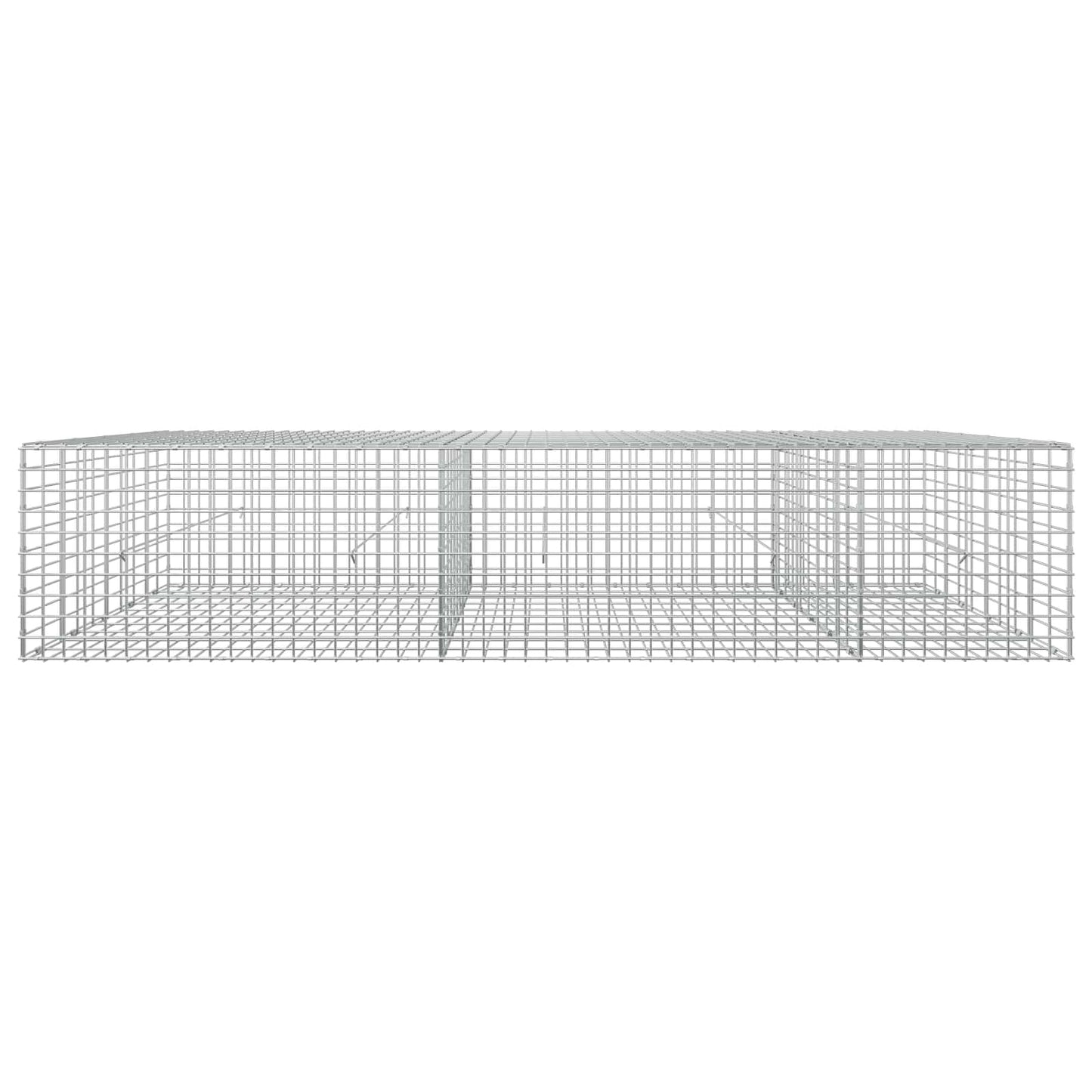 vidaXL Γκαμπιόν με σύρμα 5 mm και πλέγμα 5x5 cm 250x50x50 εκ