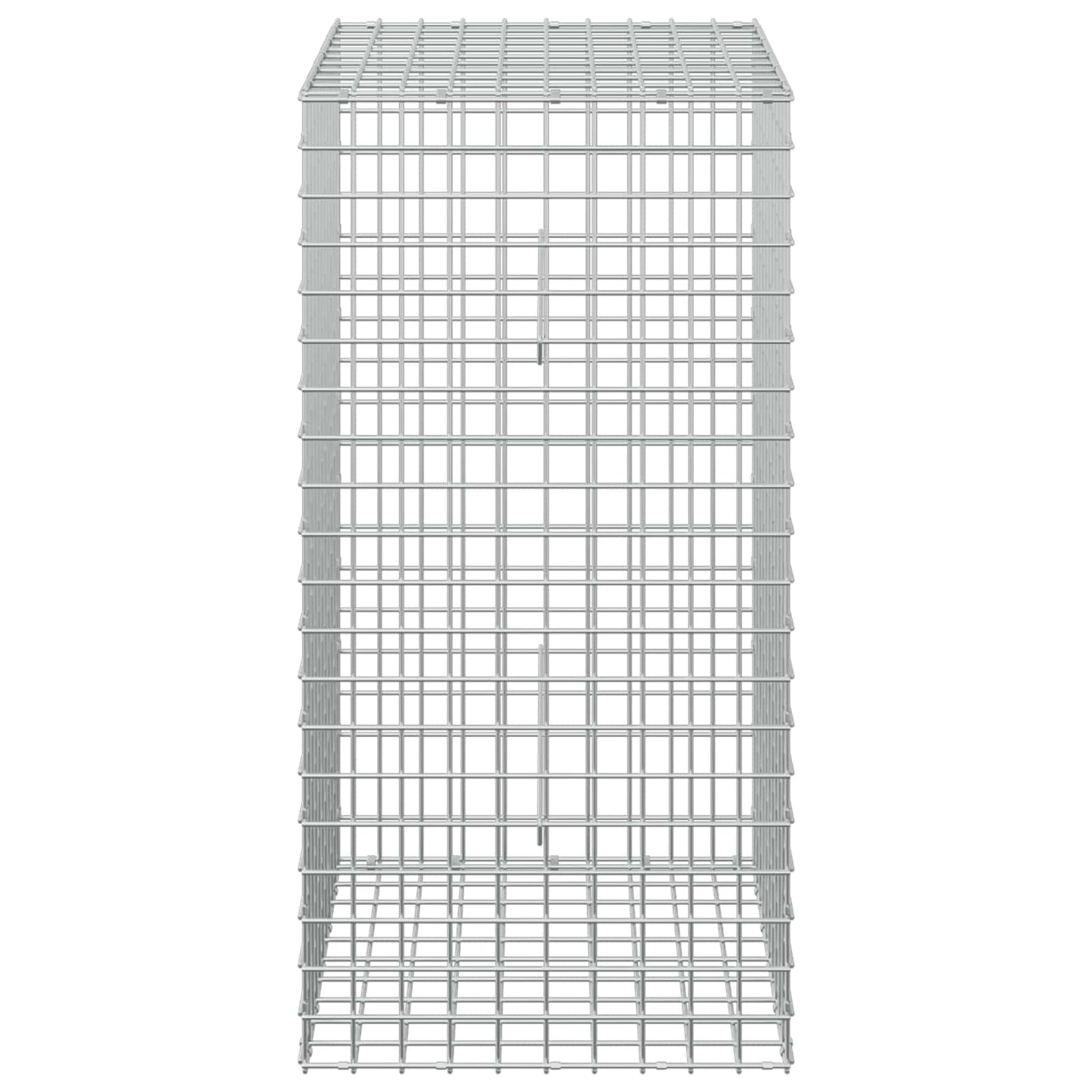 vidaXL Γκαμπιόν με σύρμα 5 mm και πλέγμα 5x5 cm 50x50x100 εκ