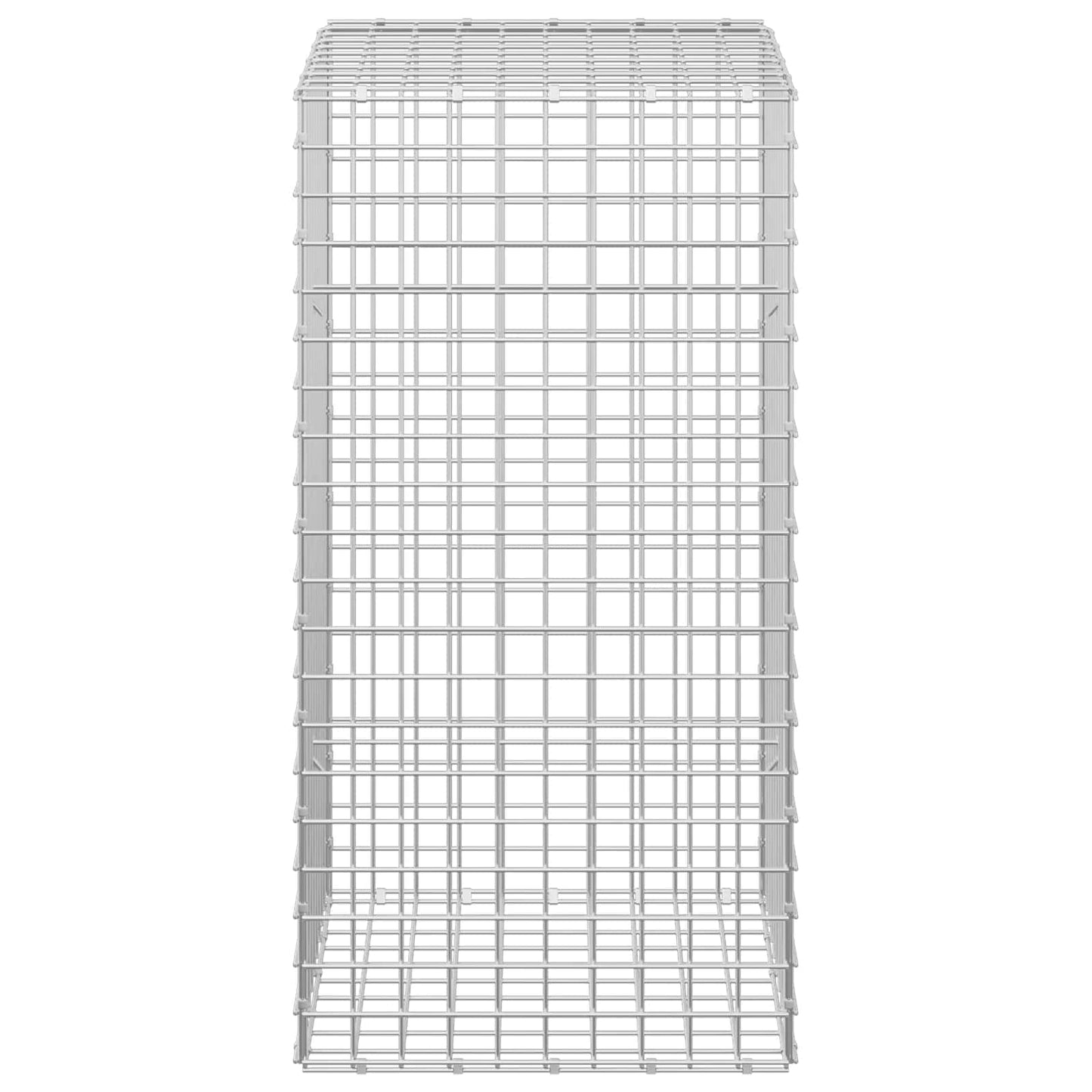 vidaXL Γκαμπιόν με σύρμα 5 mm και πλέγμα 5x5 cm 50x50x100 εκ