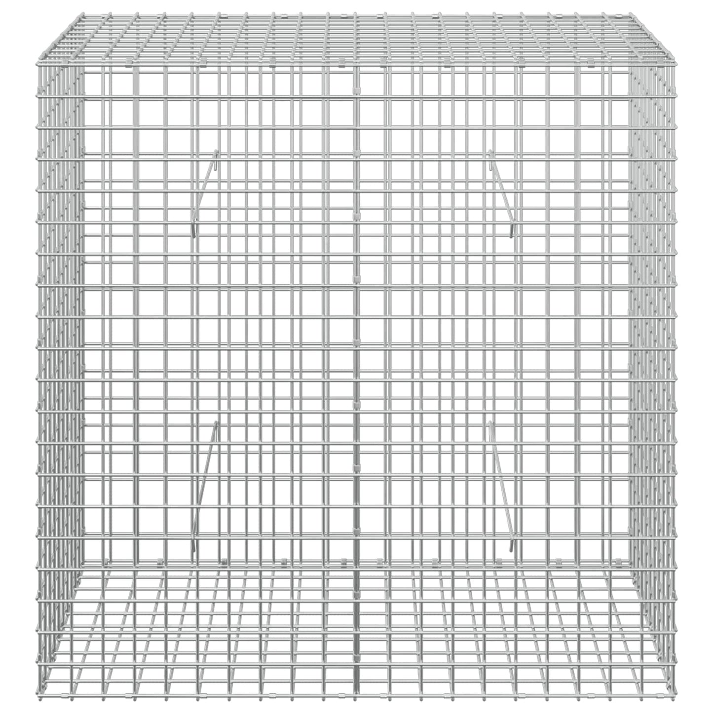 vidaXL Γκαμπιόν με σύρμα 5 mm και πλέγμα 5x5 cm 100x50x100 εκ
