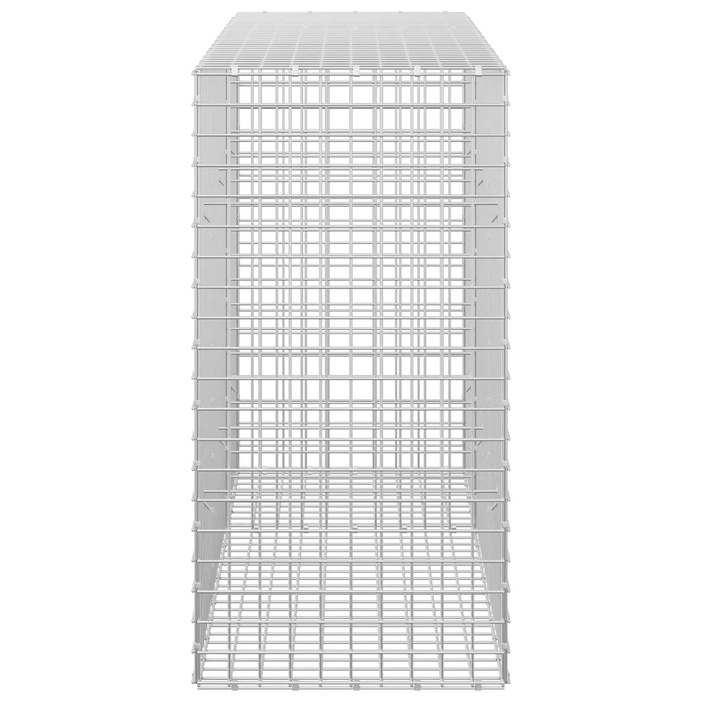 vidaXL Γκαμπιόν με σύρμα 5 mm και πλέγμα 5x5 cm 150x50x100 εκ.