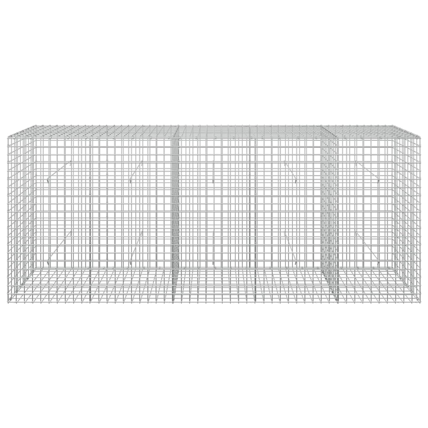 vidaXL Γκαμπιόν με σύρμα 5 mm και πλέγμα 5x5 cm 250x50x100 εκ