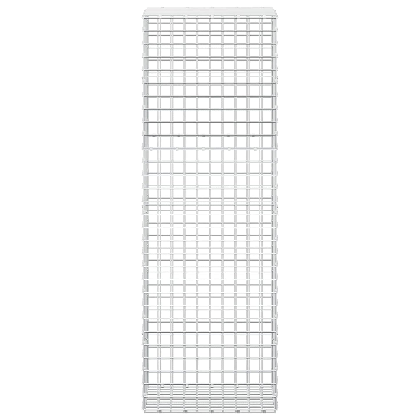 vidaXL Γκαμπιόν με σύρμα 5 mm και πλέγμα 5x5 cm 50x50x150 εκ