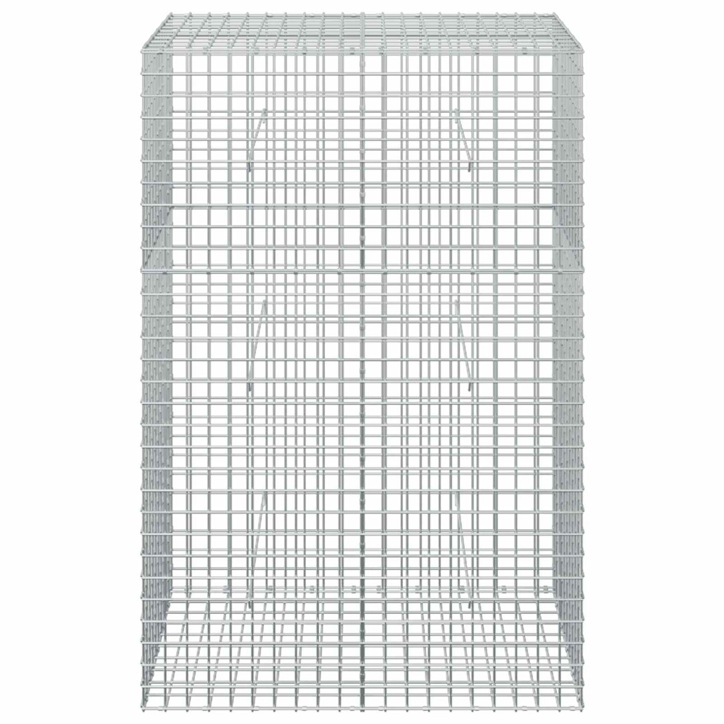 vidaXL Γκαμπιόν με σύρμα 5 mm και πλέγμα 5x5 cm 100x50x150 εκ
