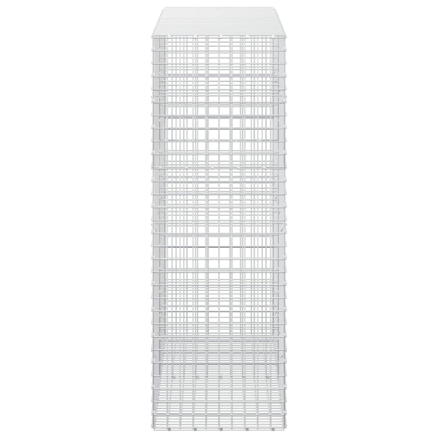 vidaXL Γκαμπιόν με σύρμα 5 mm και πλέγμα 5x5 cm 200x50x150 εκ