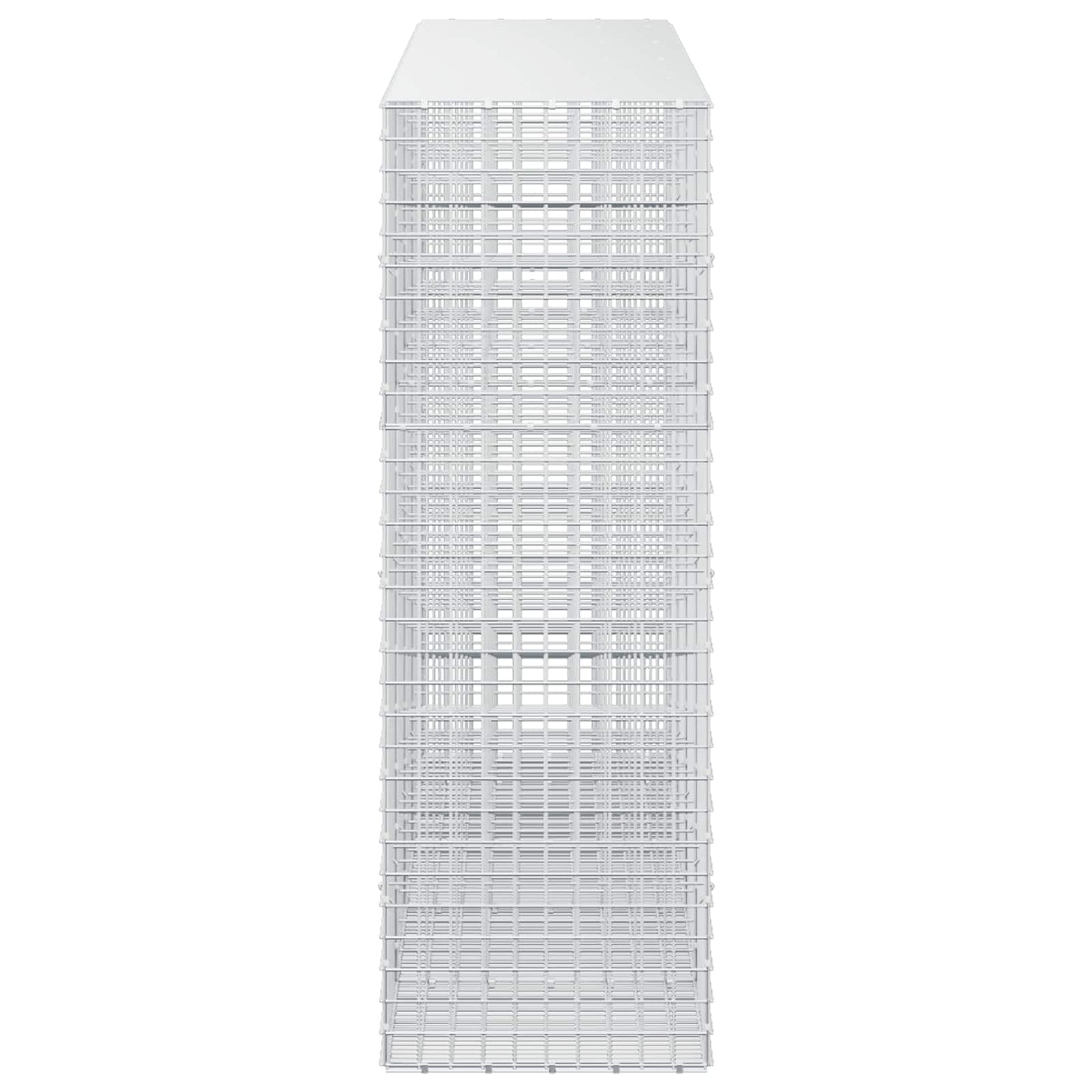 vidaXL Γκαμπιόν με σύρμα 5 mm και πλέγμα 5x5 cm 450x50x150 εκ