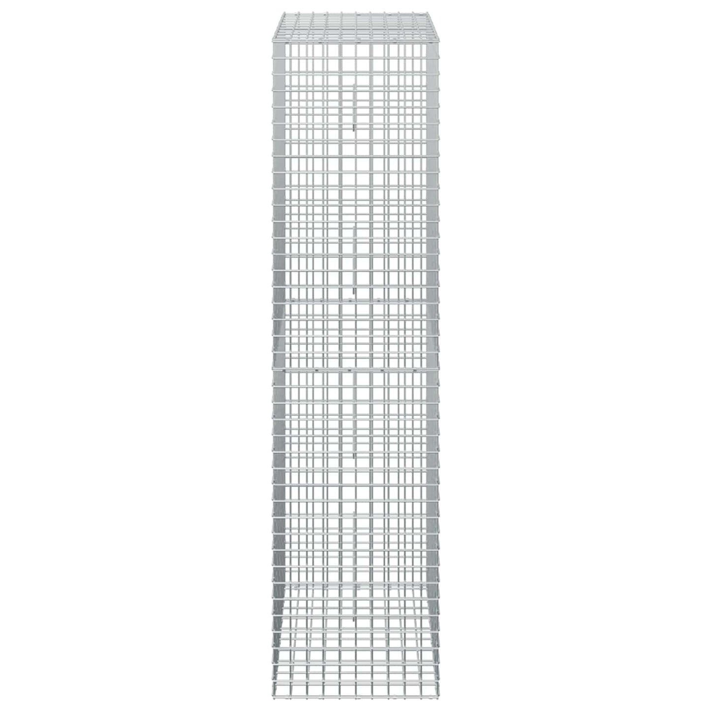 vidaXL Γκαμπιόν με σύρμα 5 mm και πλέγμα 5x5 cm 50x50x200 εκ